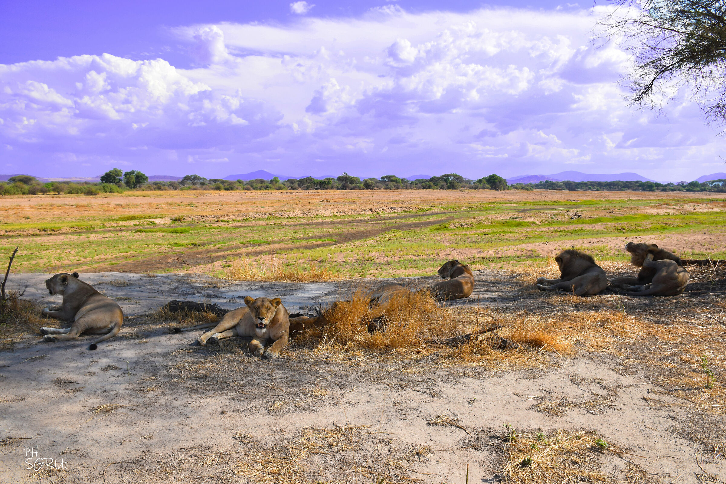 riunione di famiglia