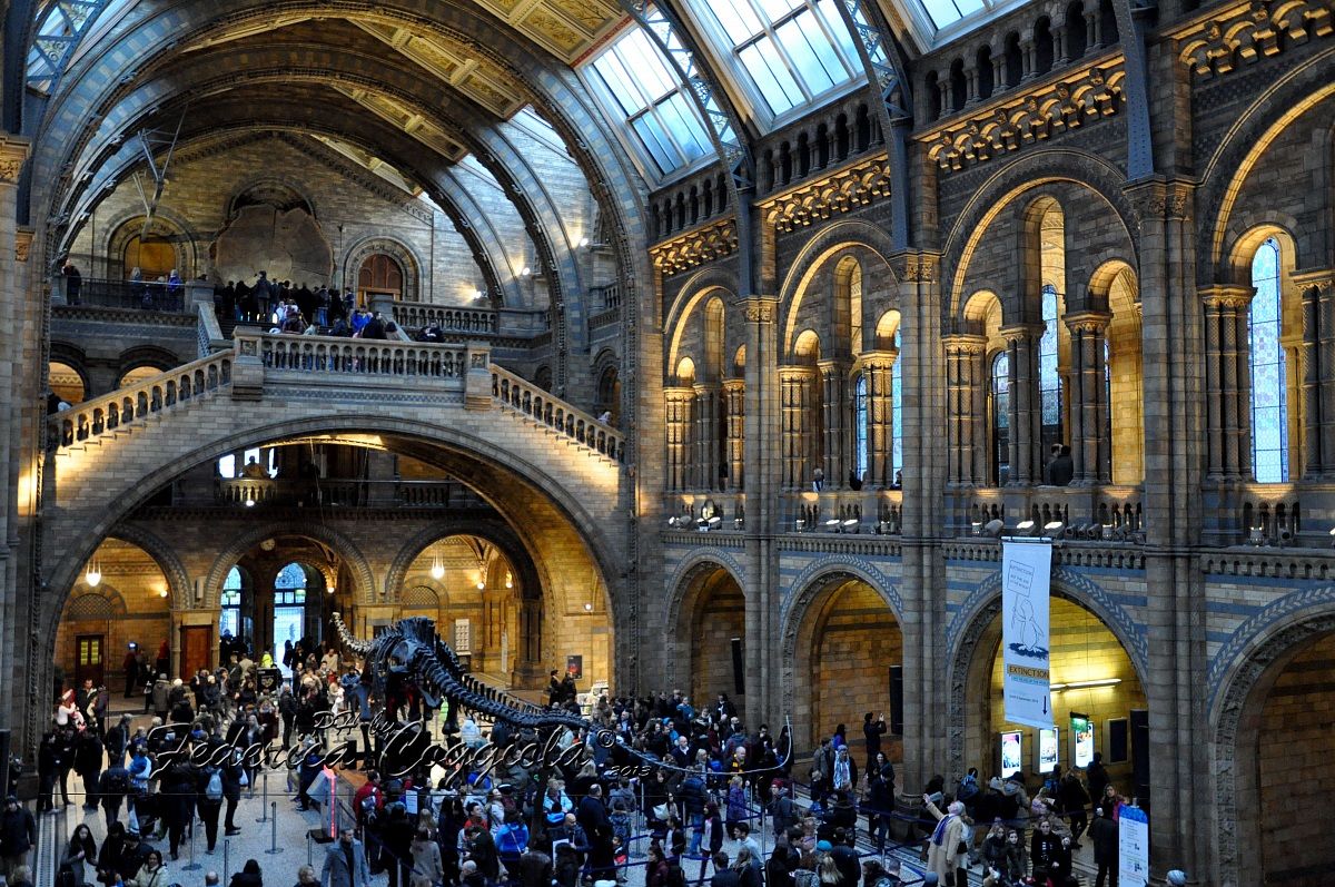 Un ingresso spettacolare