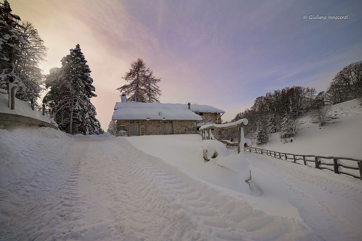 after a nice snowfall... the first lights of the day