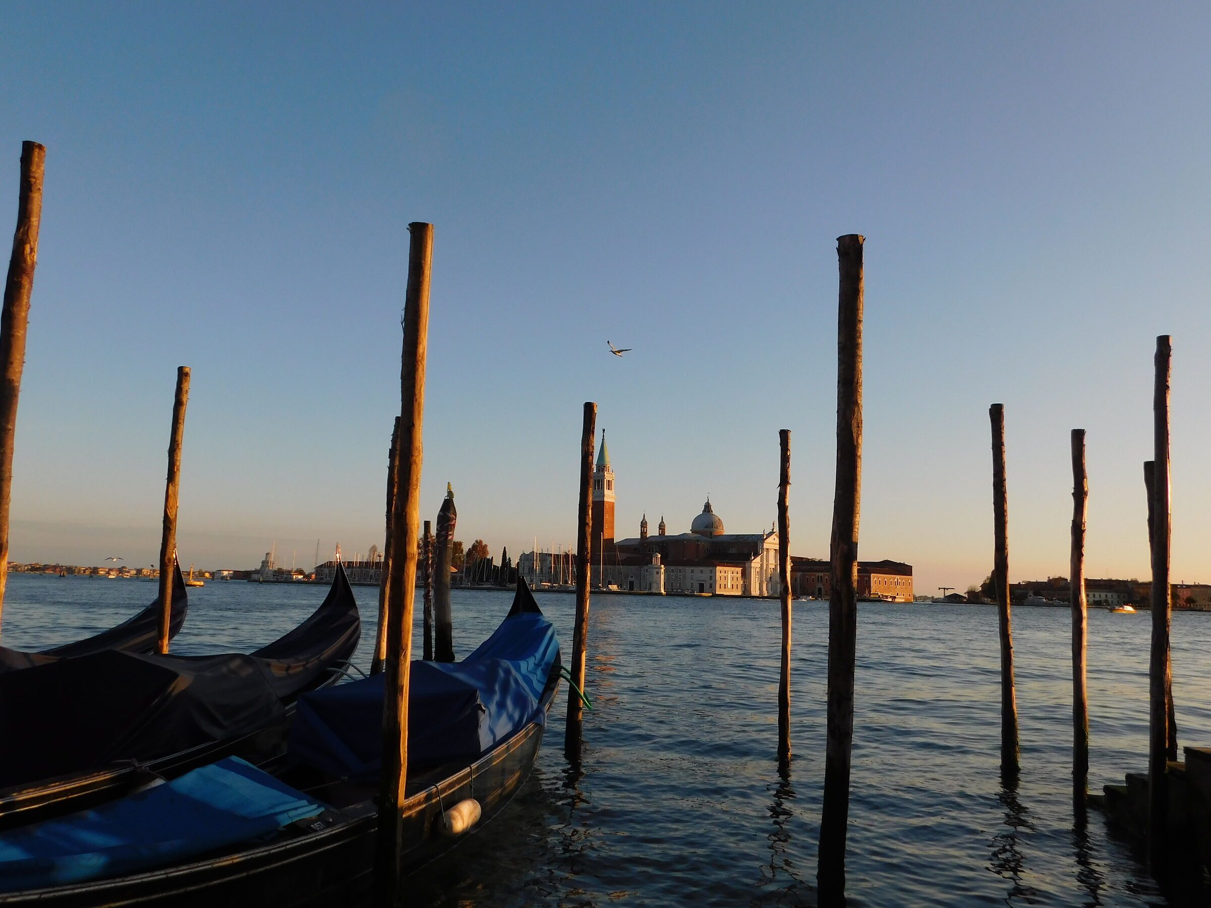 Gondole in ogni dove