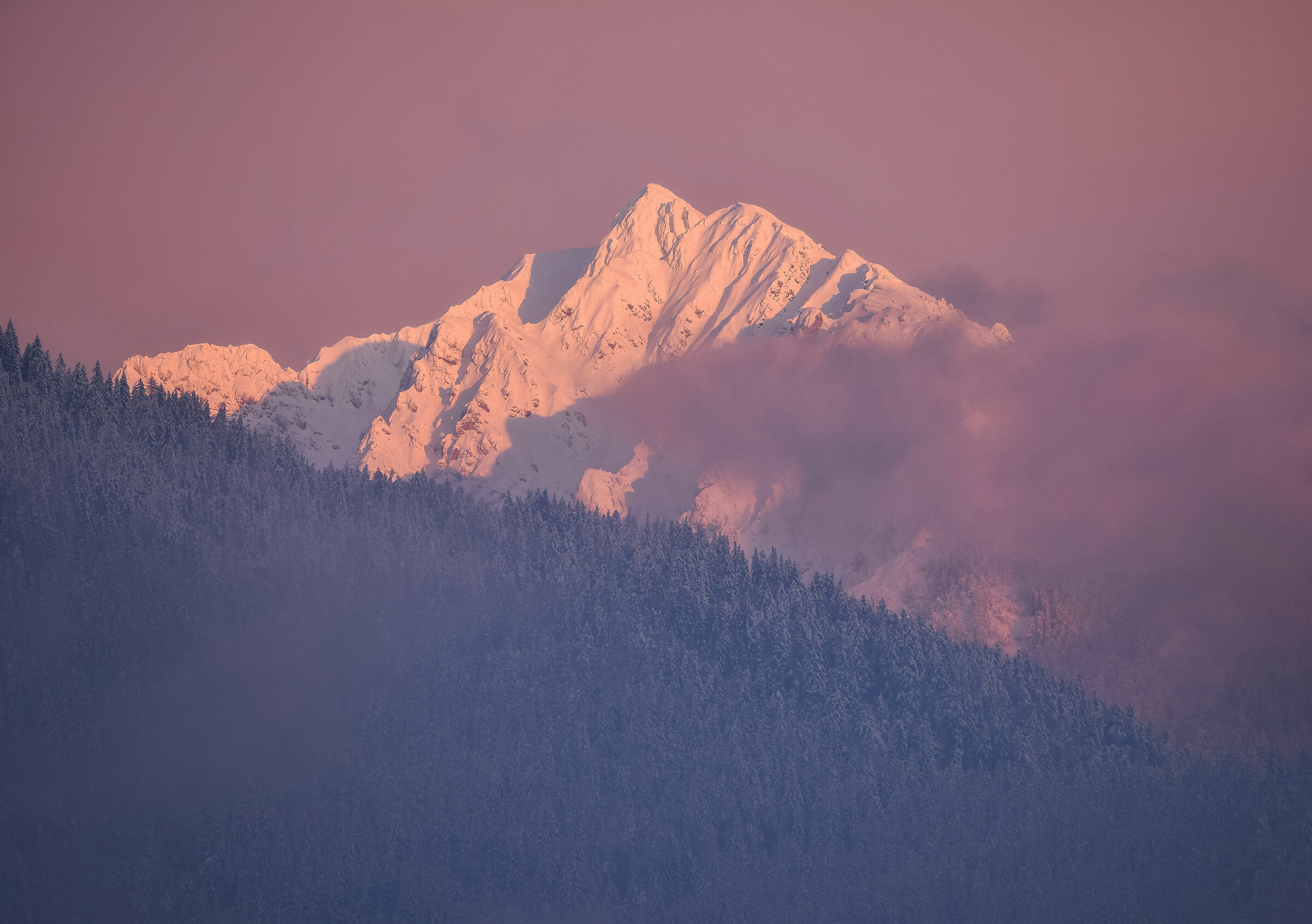 Neve fresca in montagna
