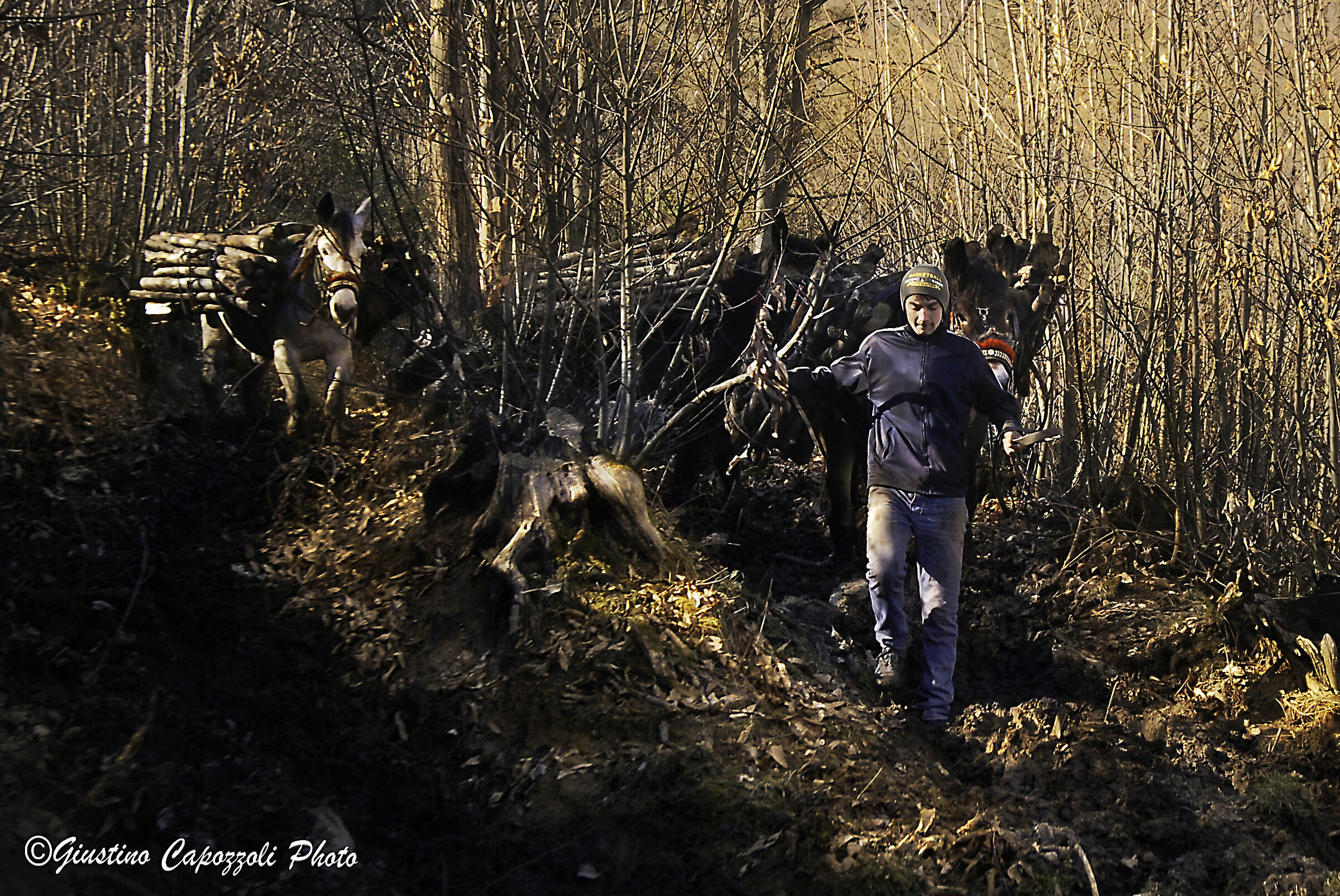 Mule tracks old crafts new generations 2