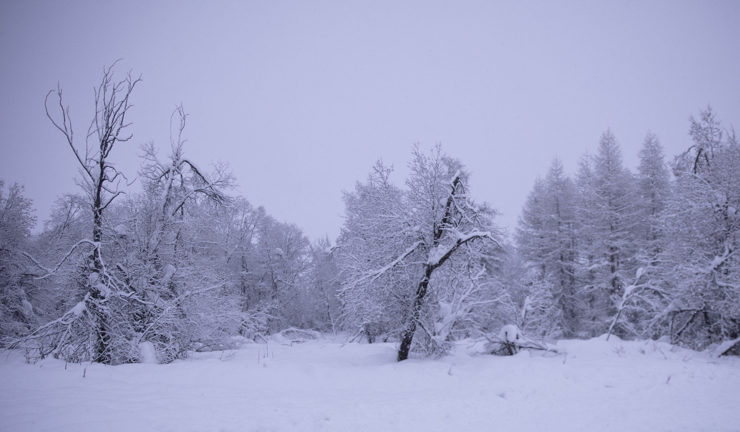 Paesaggio invernale in Engadina