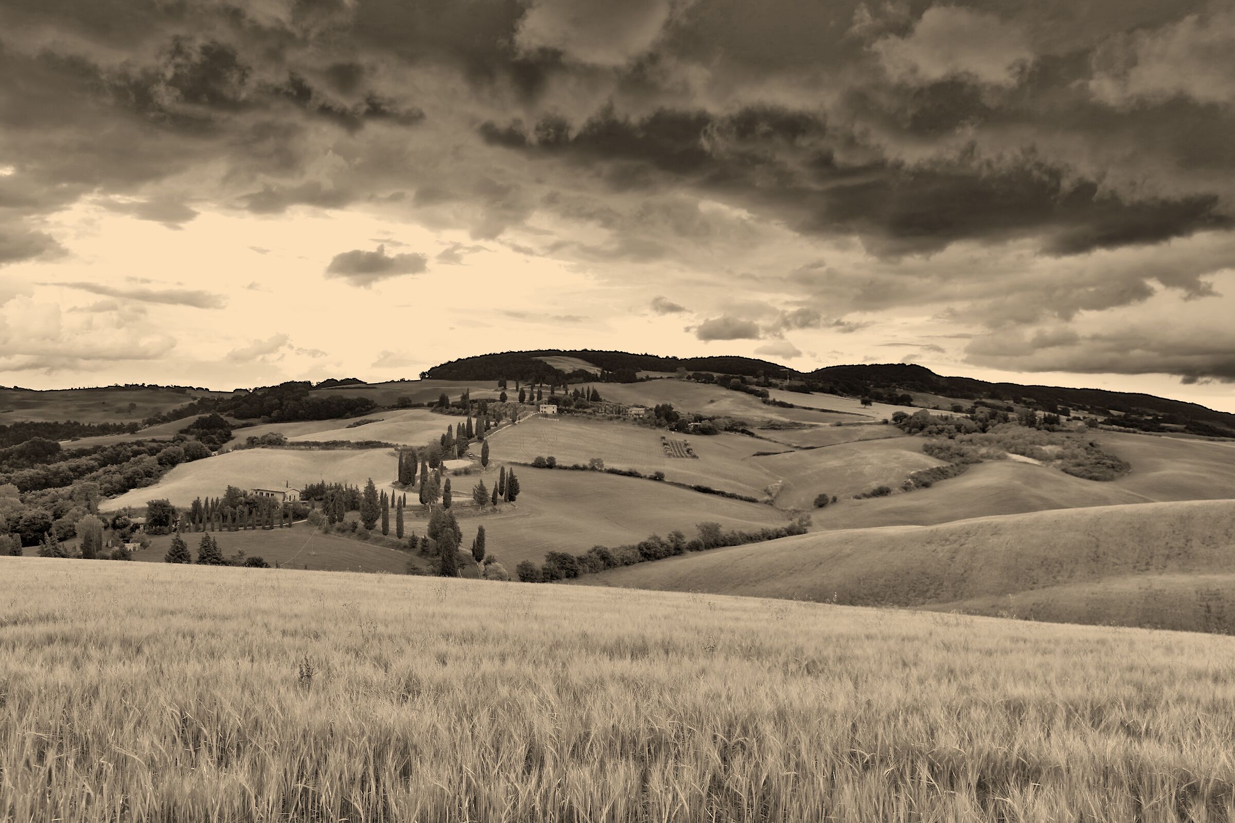 La strada dei cipressi