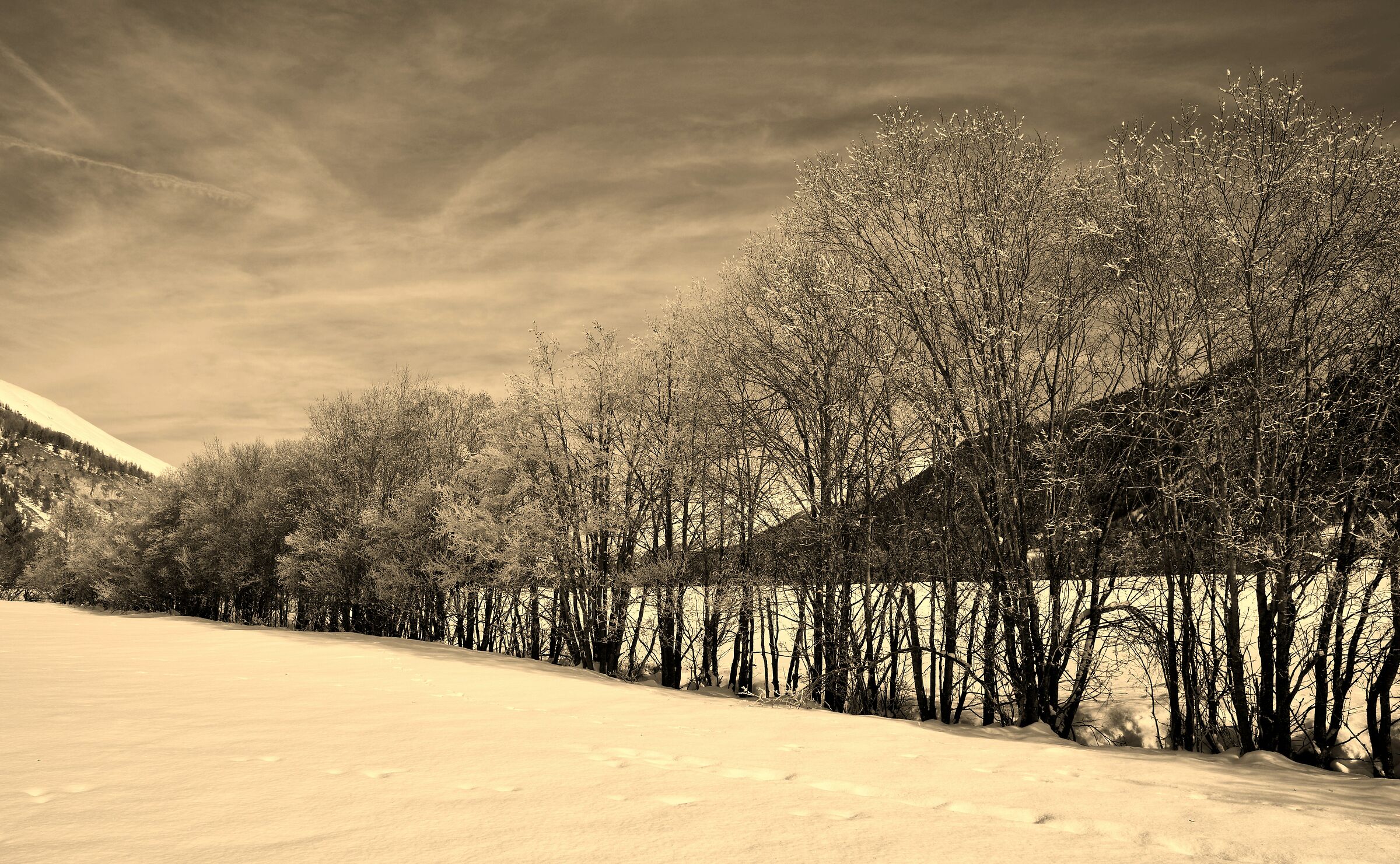 Paesaggio invernale in Engadina
