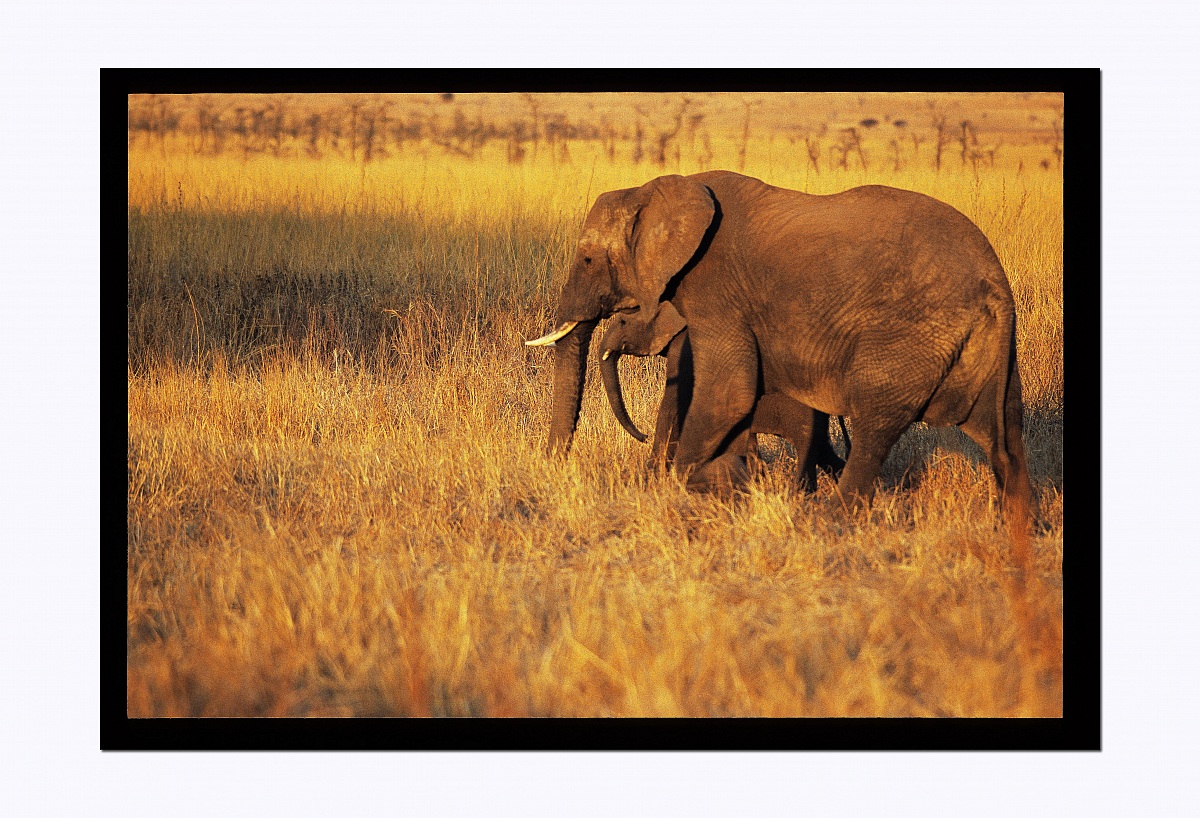 On the way ............