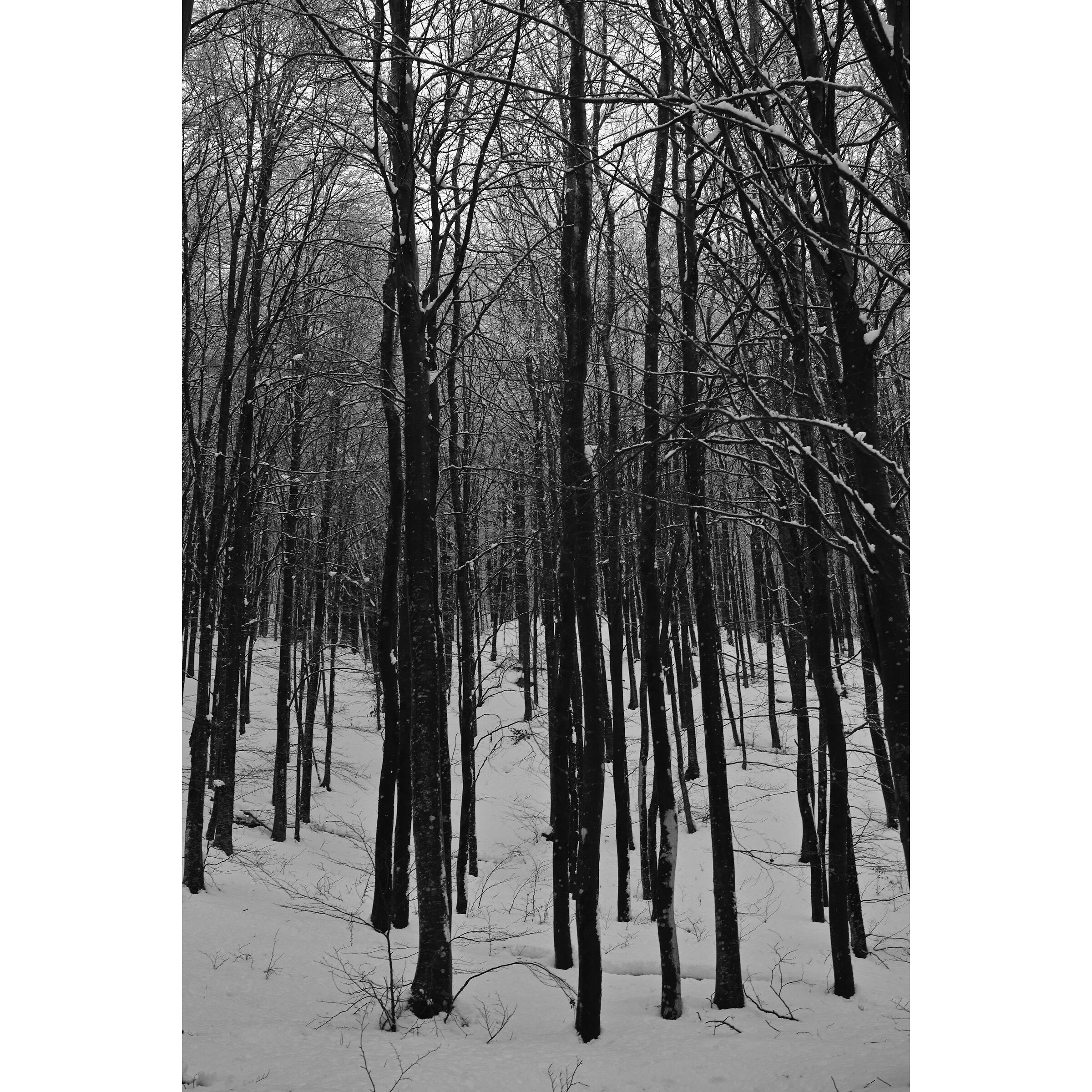 Untitled Photo