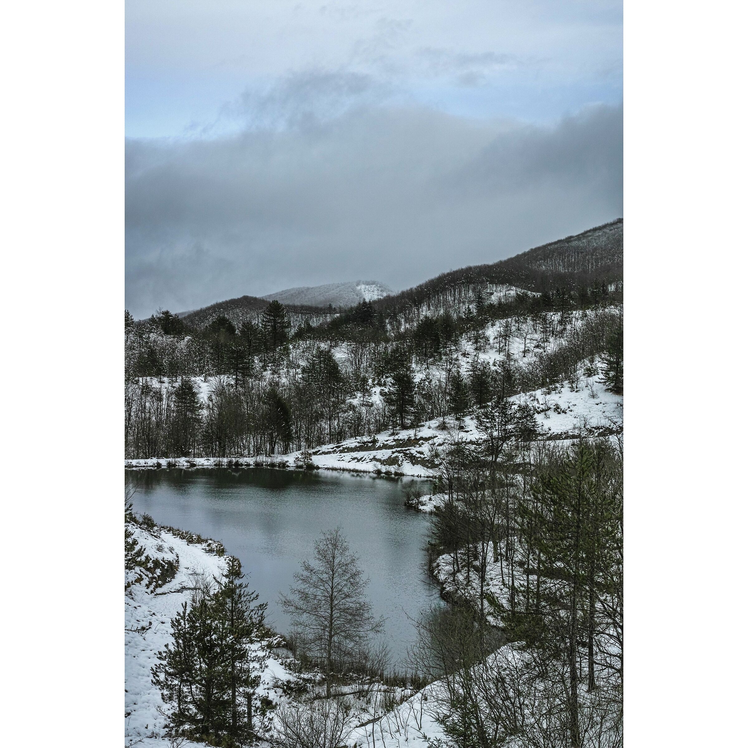 Untitled Photo