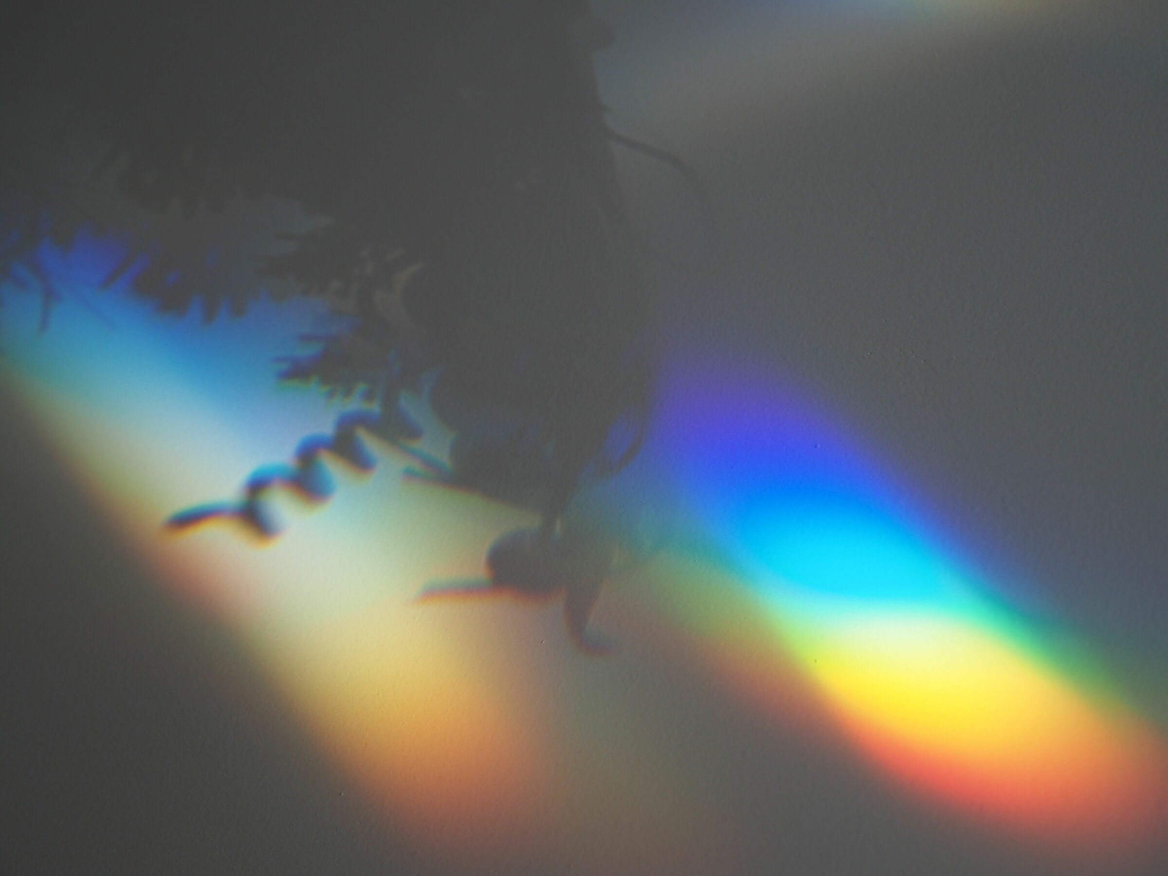 Riflessi ed ombre... natalizie!