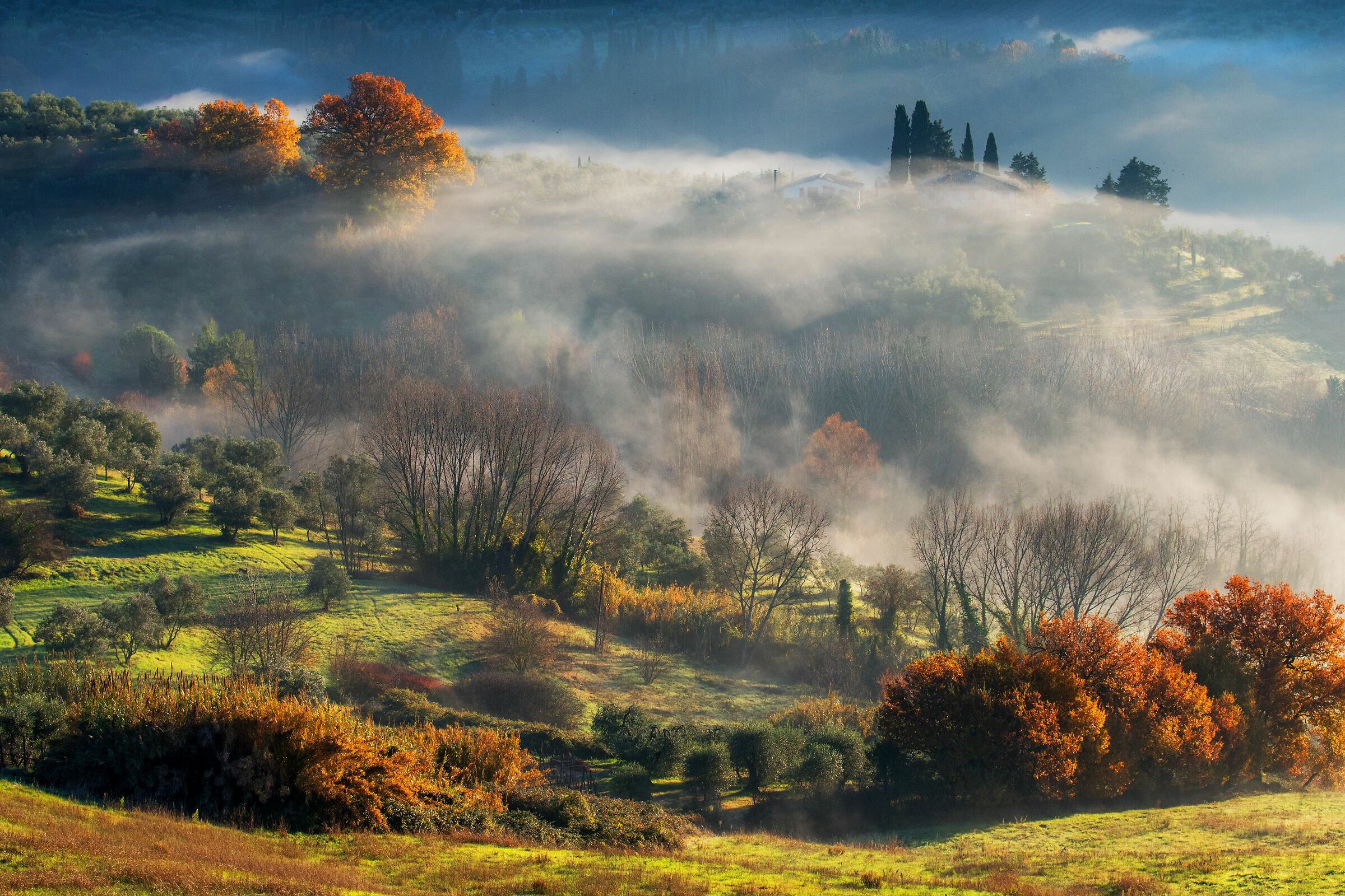 la magia della nebbia