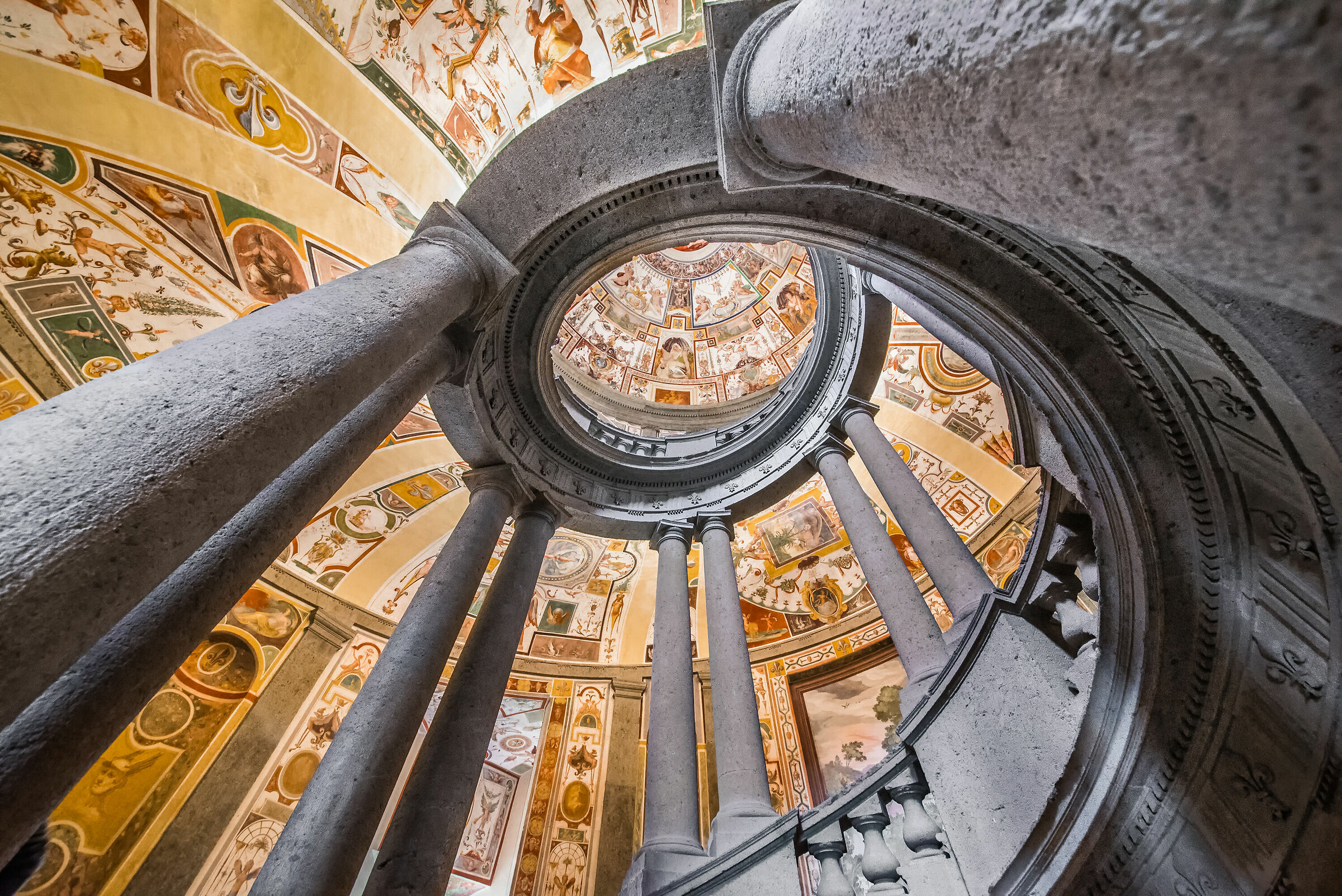 somersault: pal. Farnese