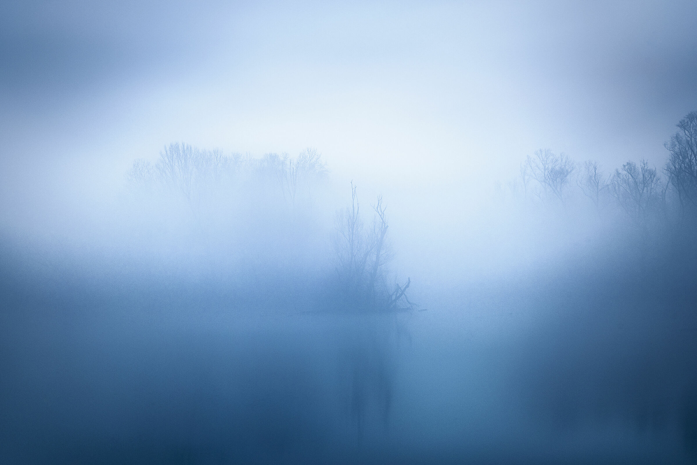 Foggy lagoon