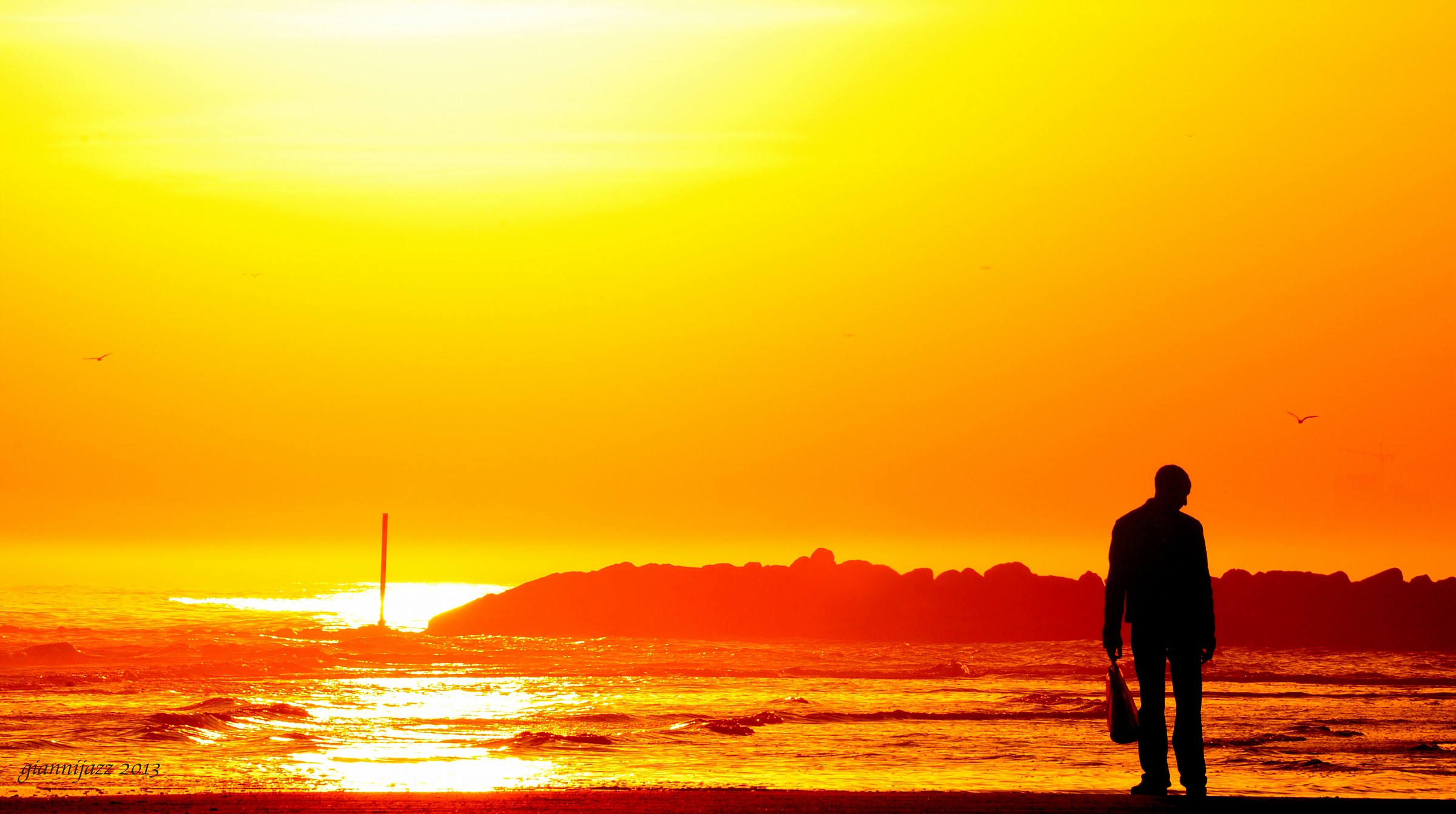 Golden light. Gulls. Man alone.