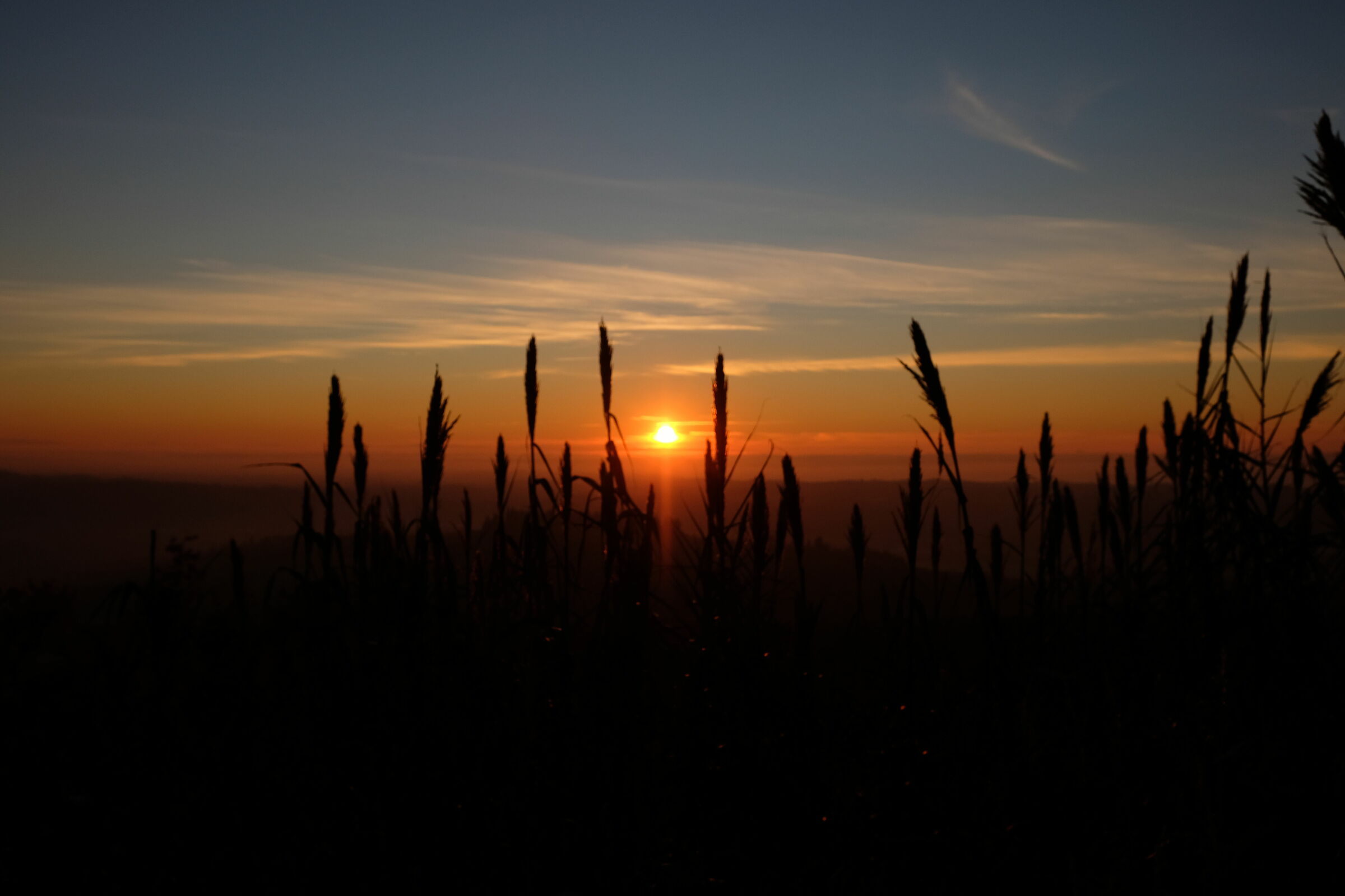 Tramonto in Valpolicella