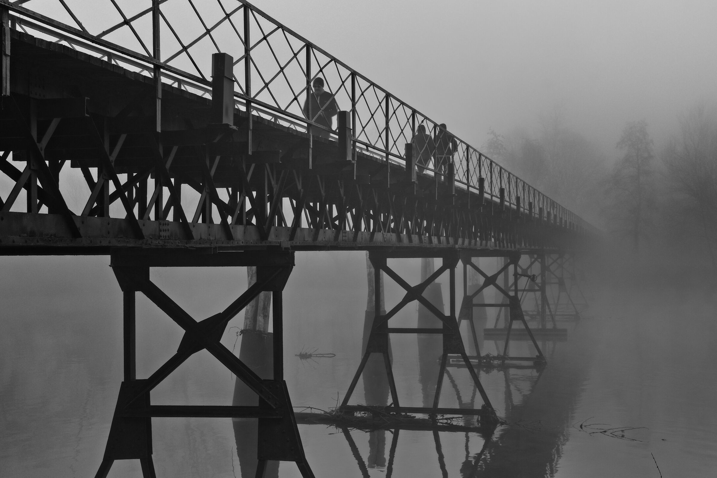 Nebbia in Zona Gialla