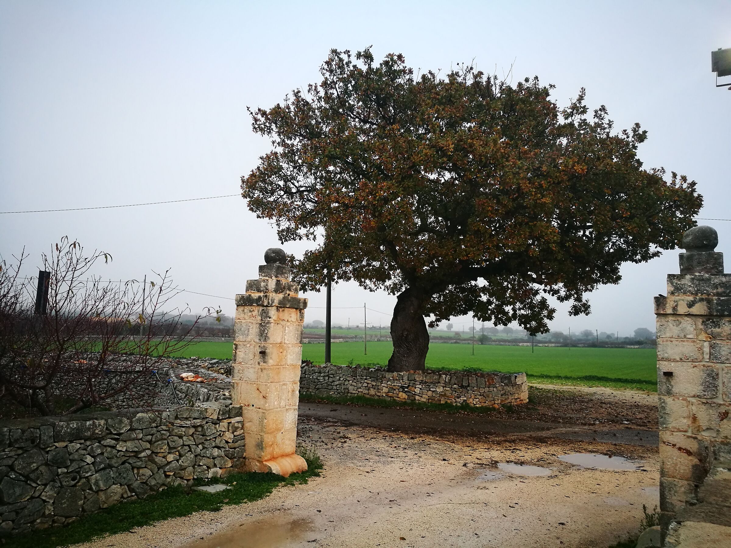 The Gate of Paradise
