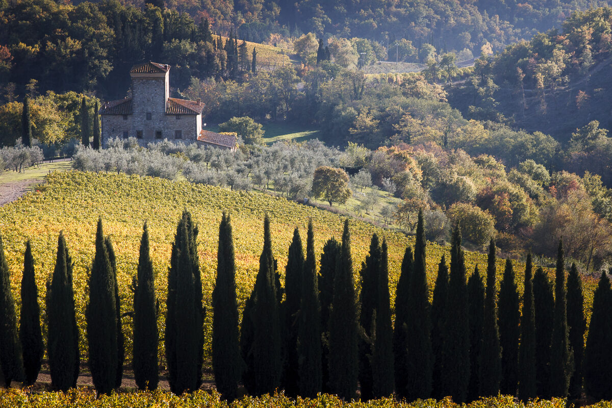 A sip of Chianti ...