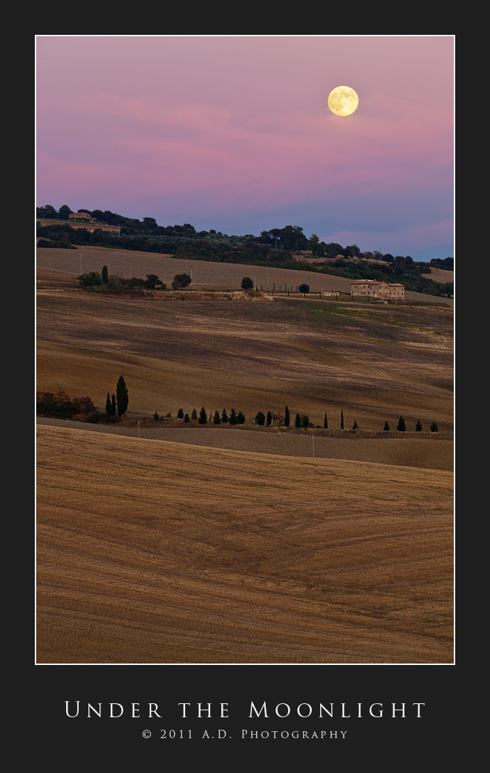 Under the Moonlight