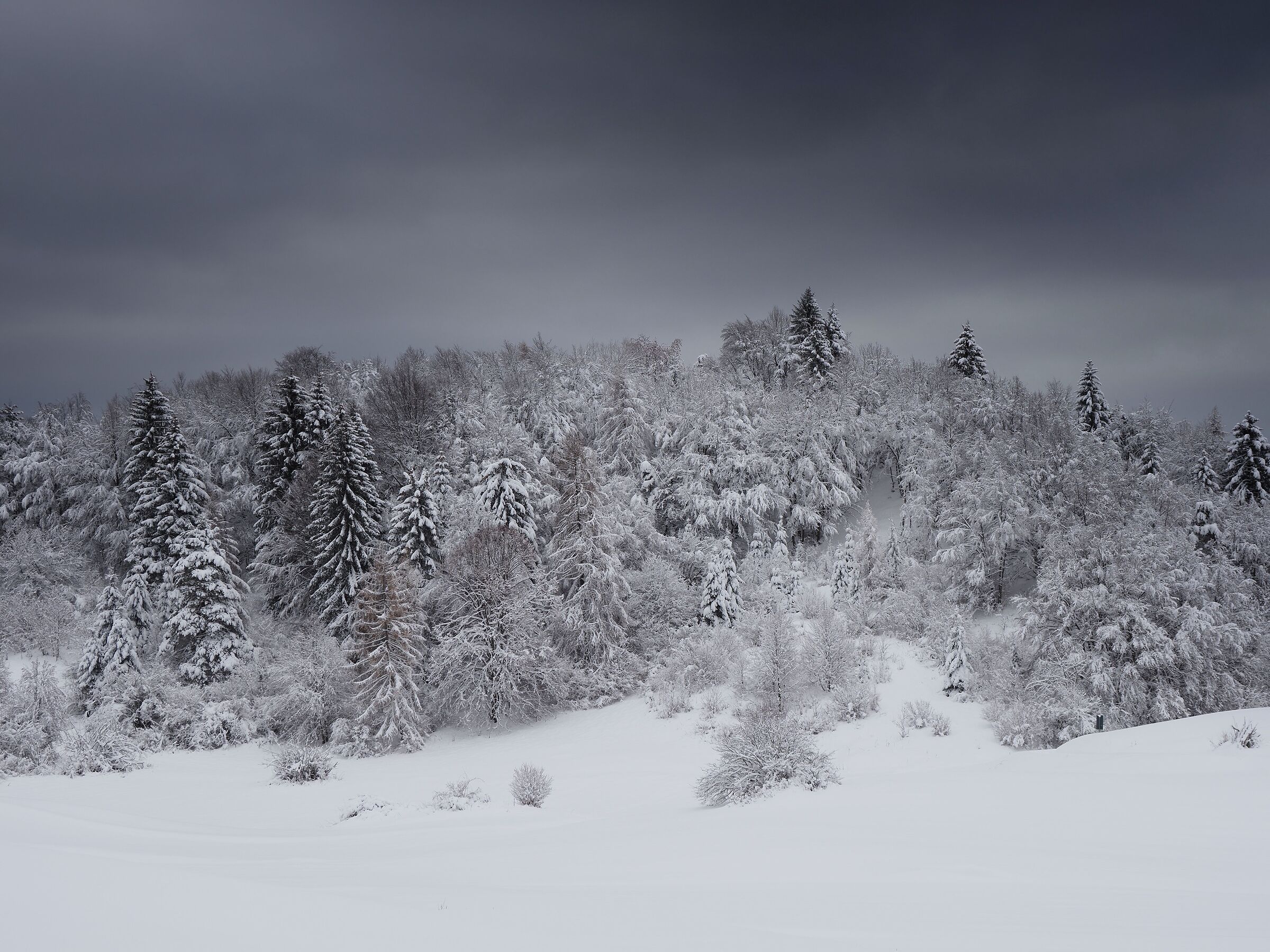 General winter