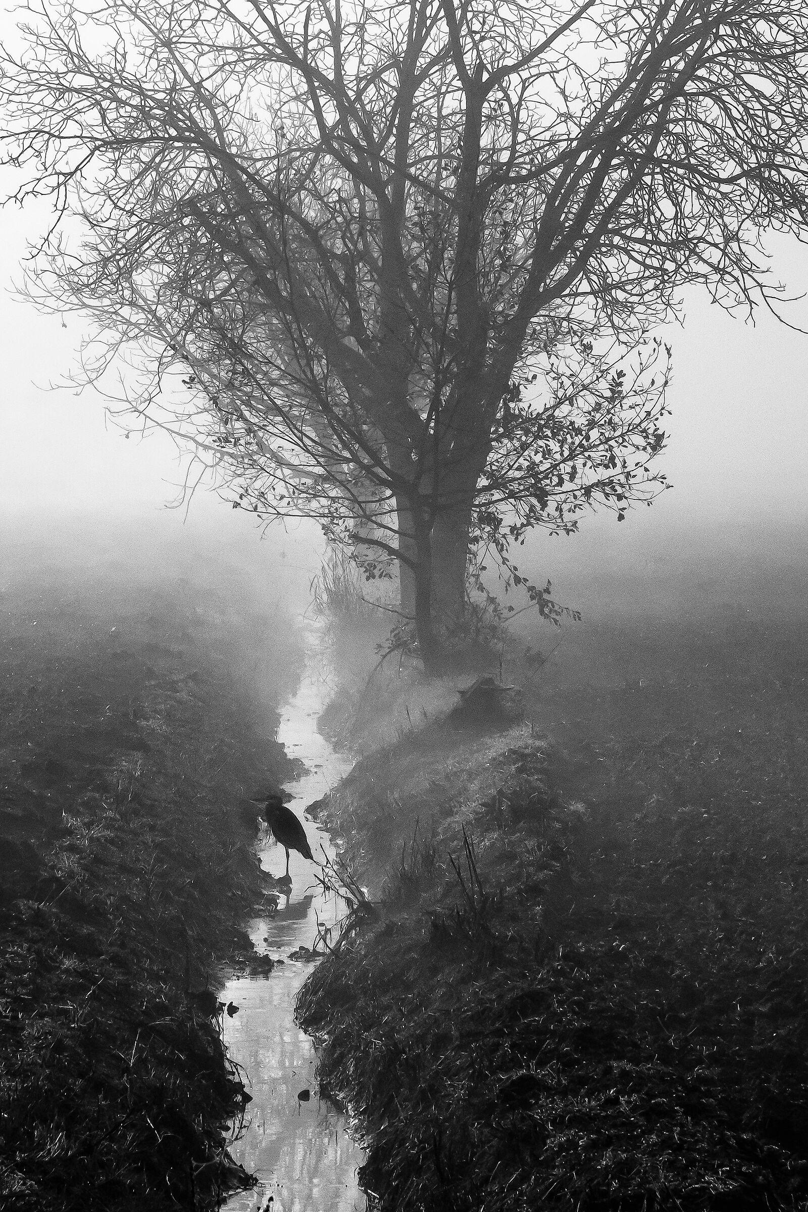 una mattina d'inverno