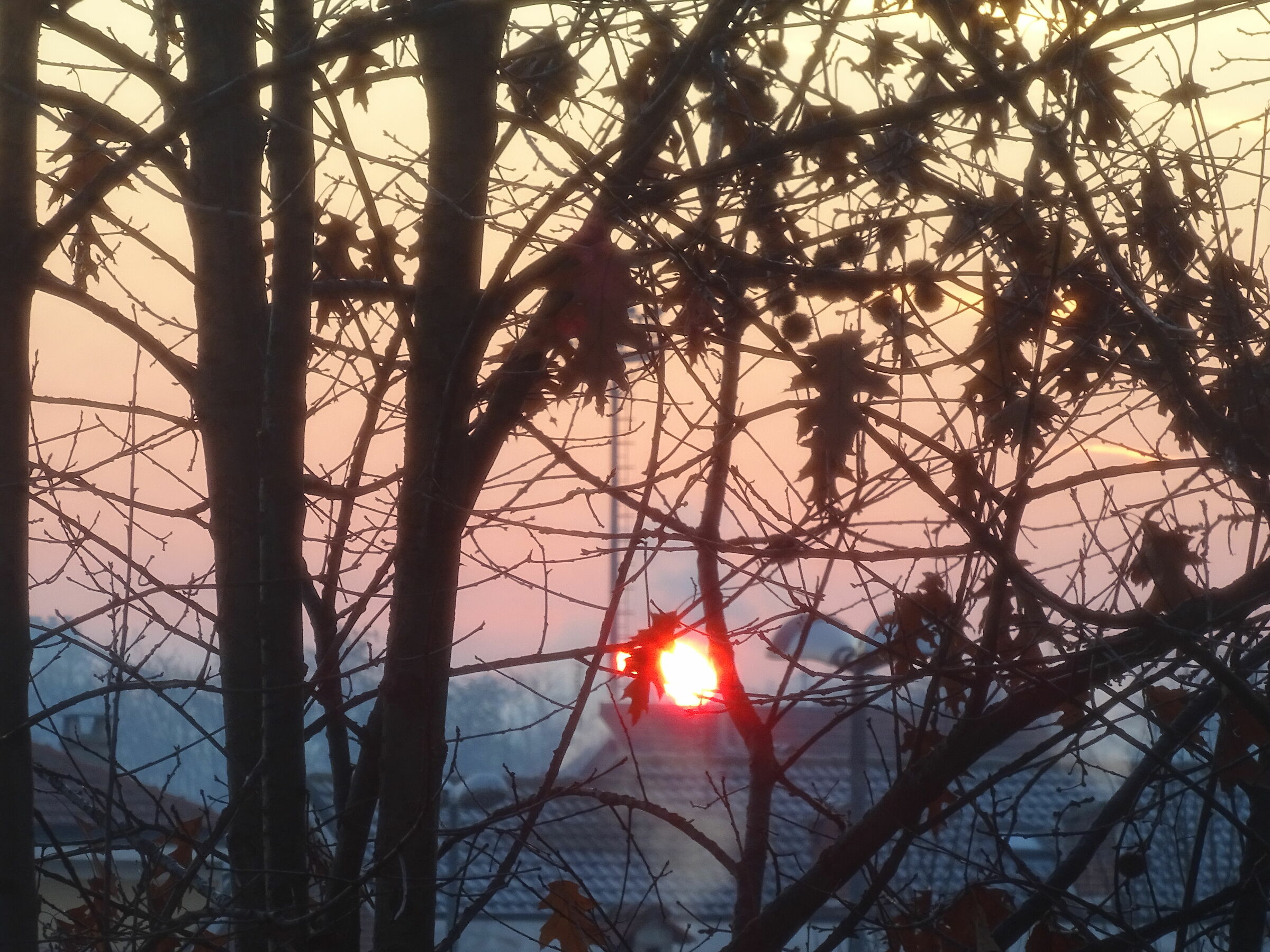 l'alba di stamattina...