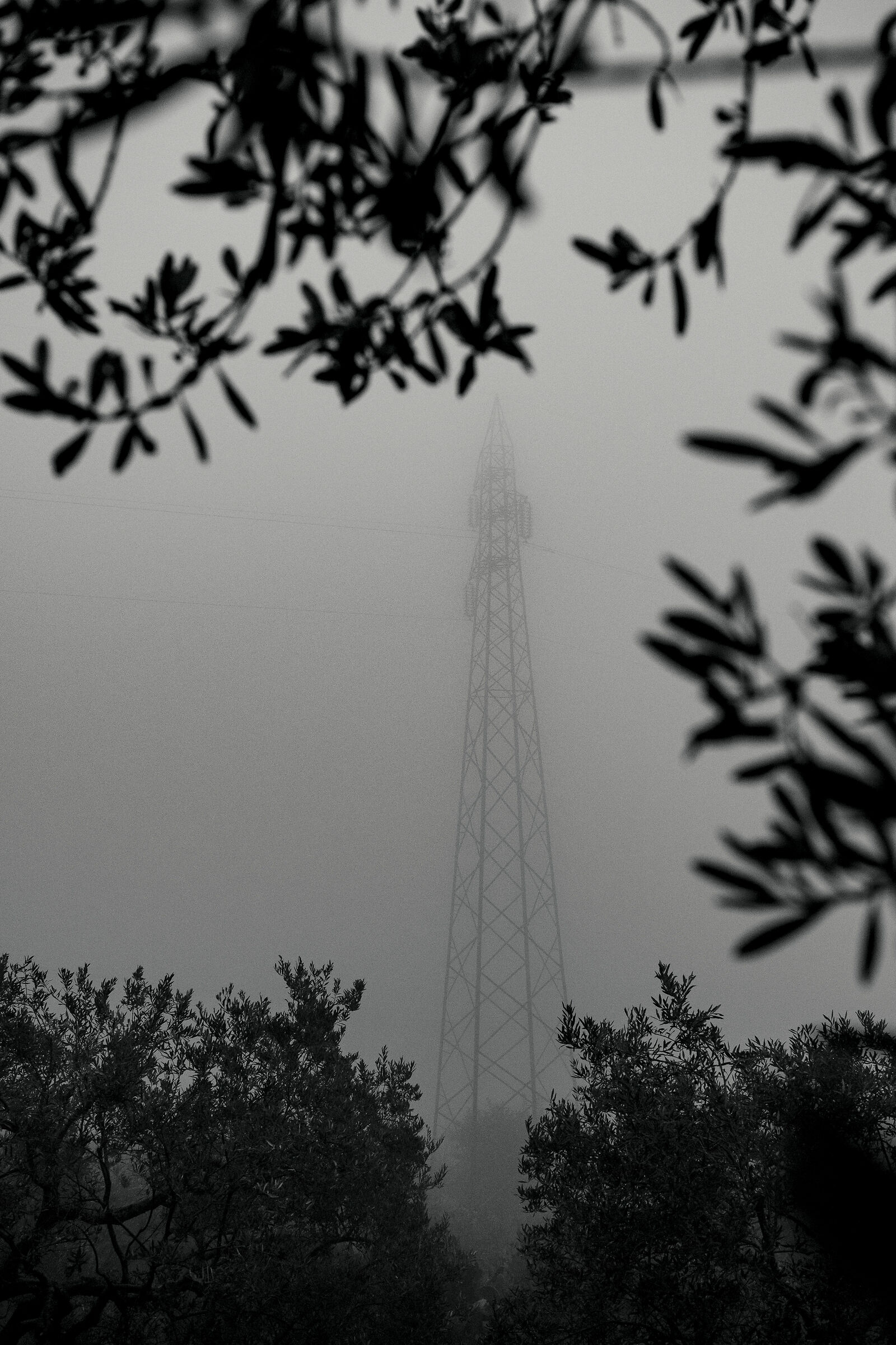 The Monster in the Fog