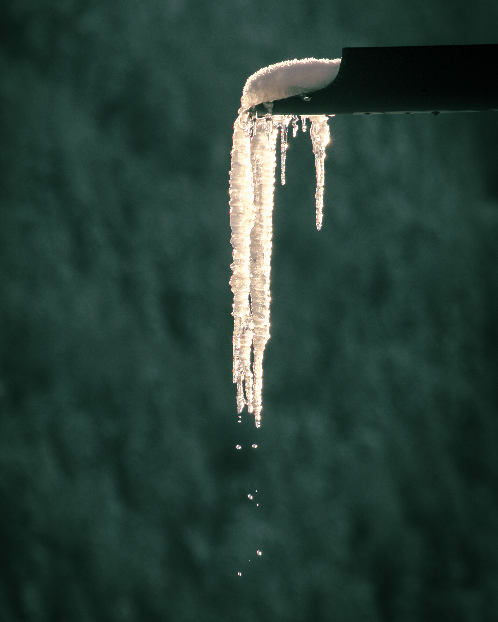 Walchhorn of Riscone where I live