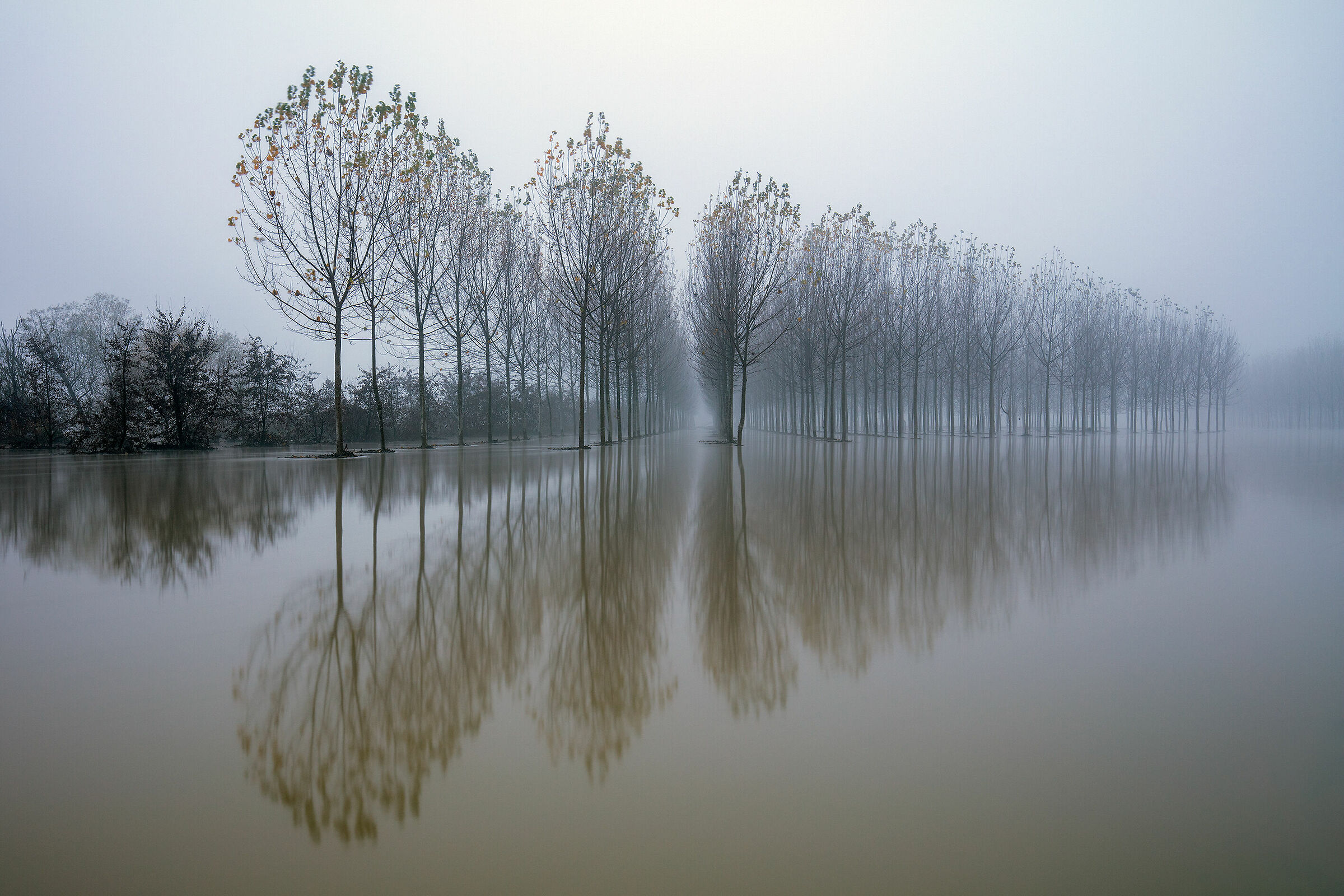 La golena sott'acqua; piena del Po del 2016