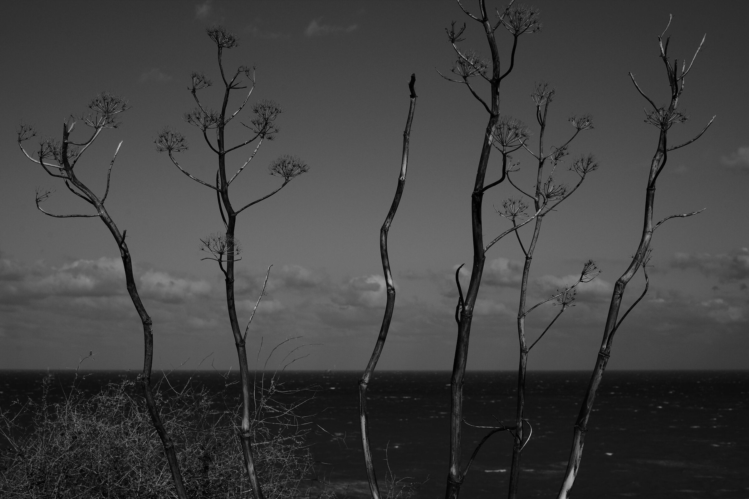 Away to Capo Colonna [2]