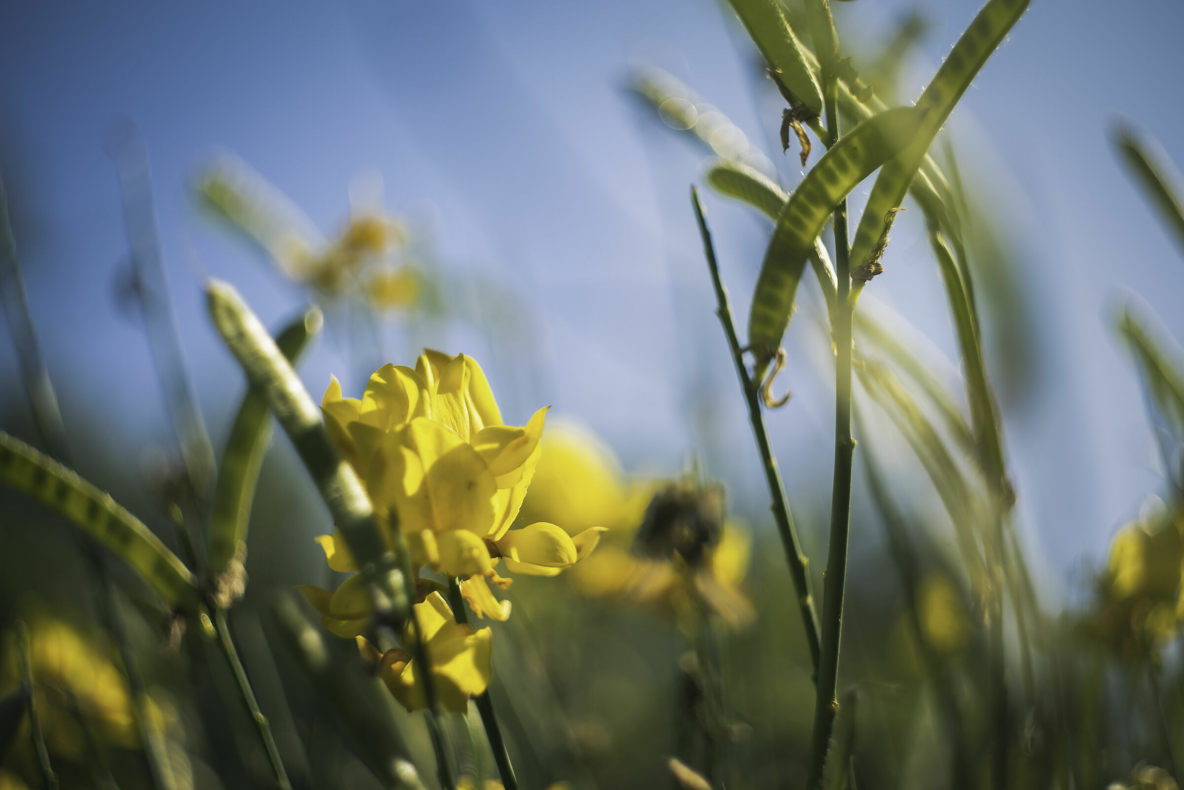A spasso per giardini 4