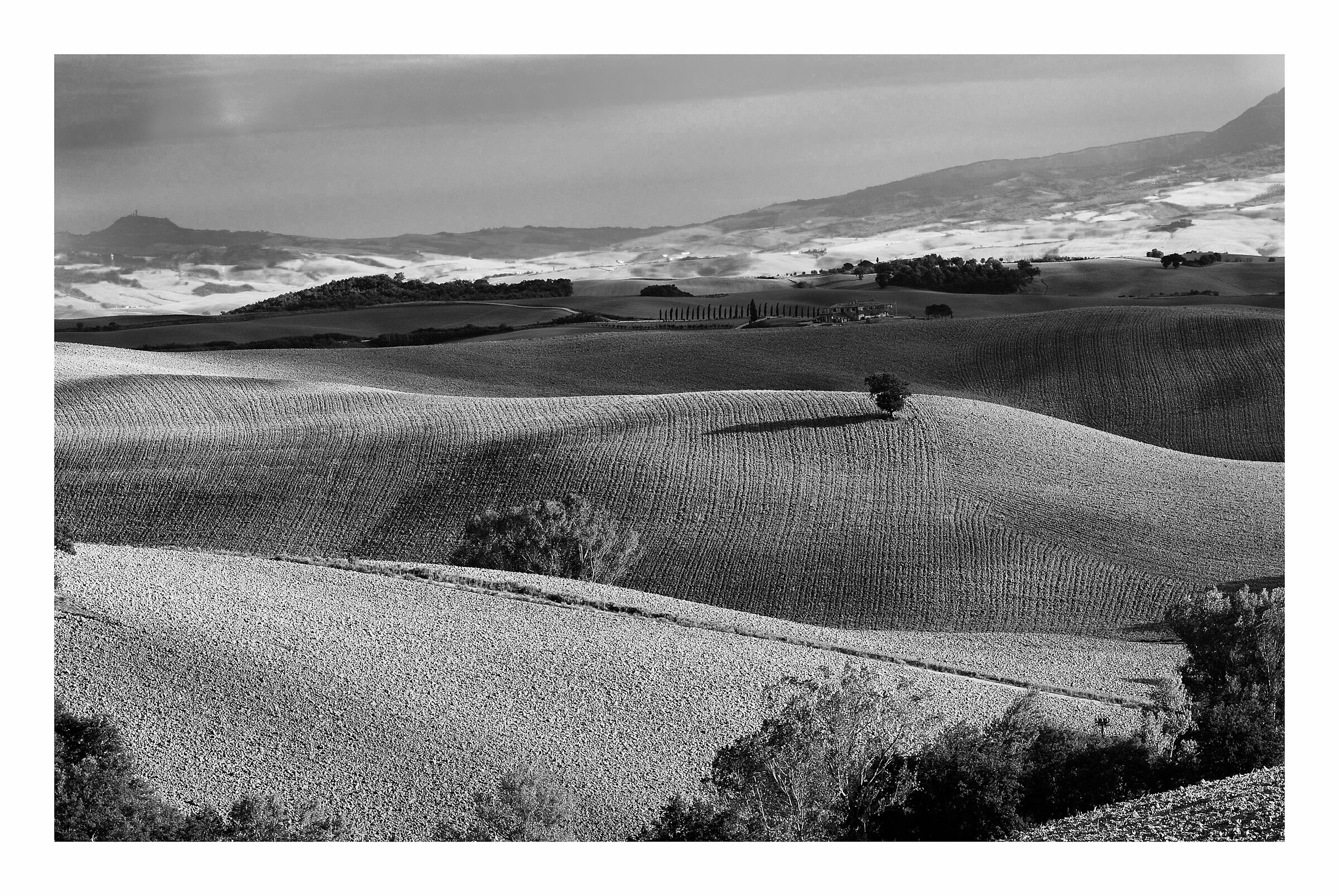 Val d'Orcia pettinata