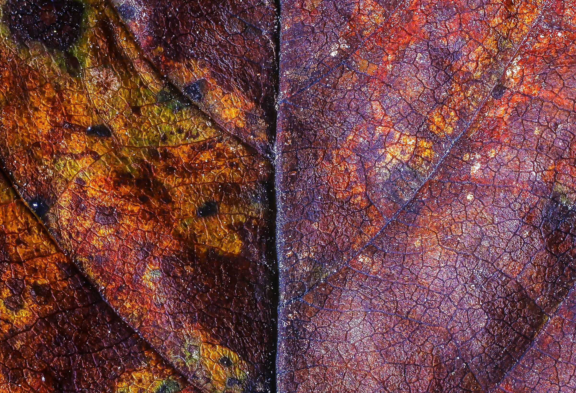 stressed by the lockdown