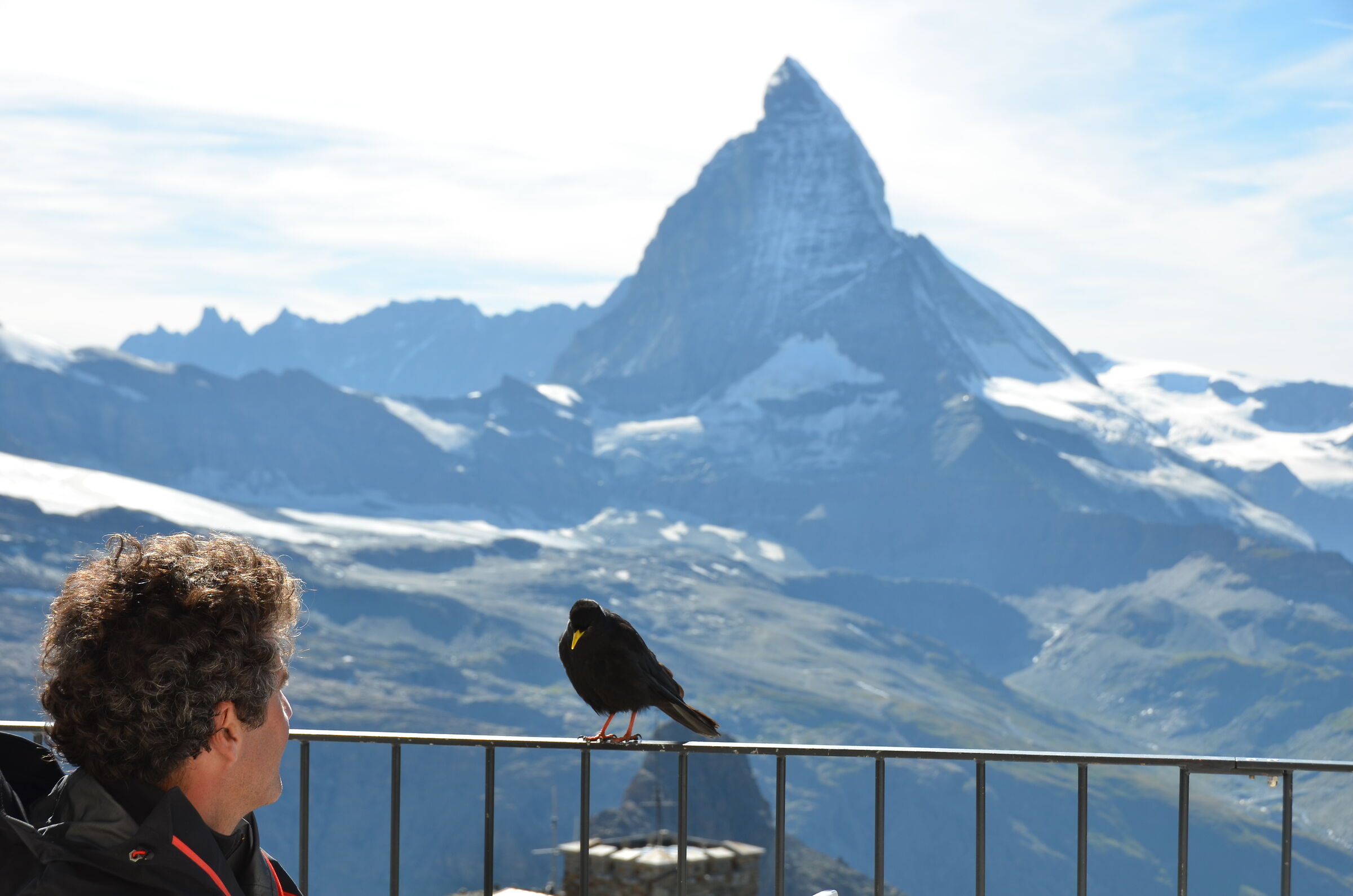 but they will be said???