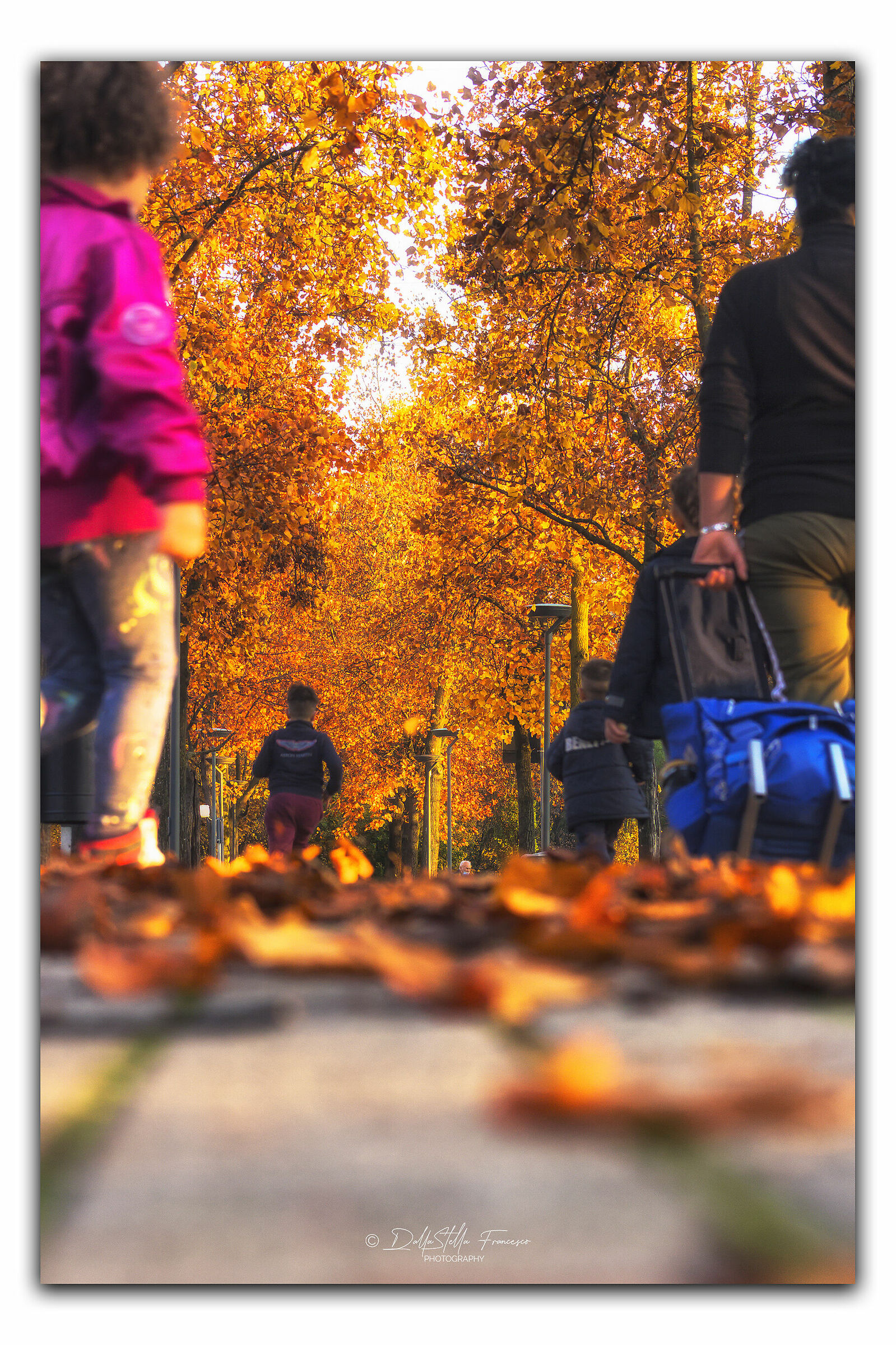 Parco cittadino d'autunno
