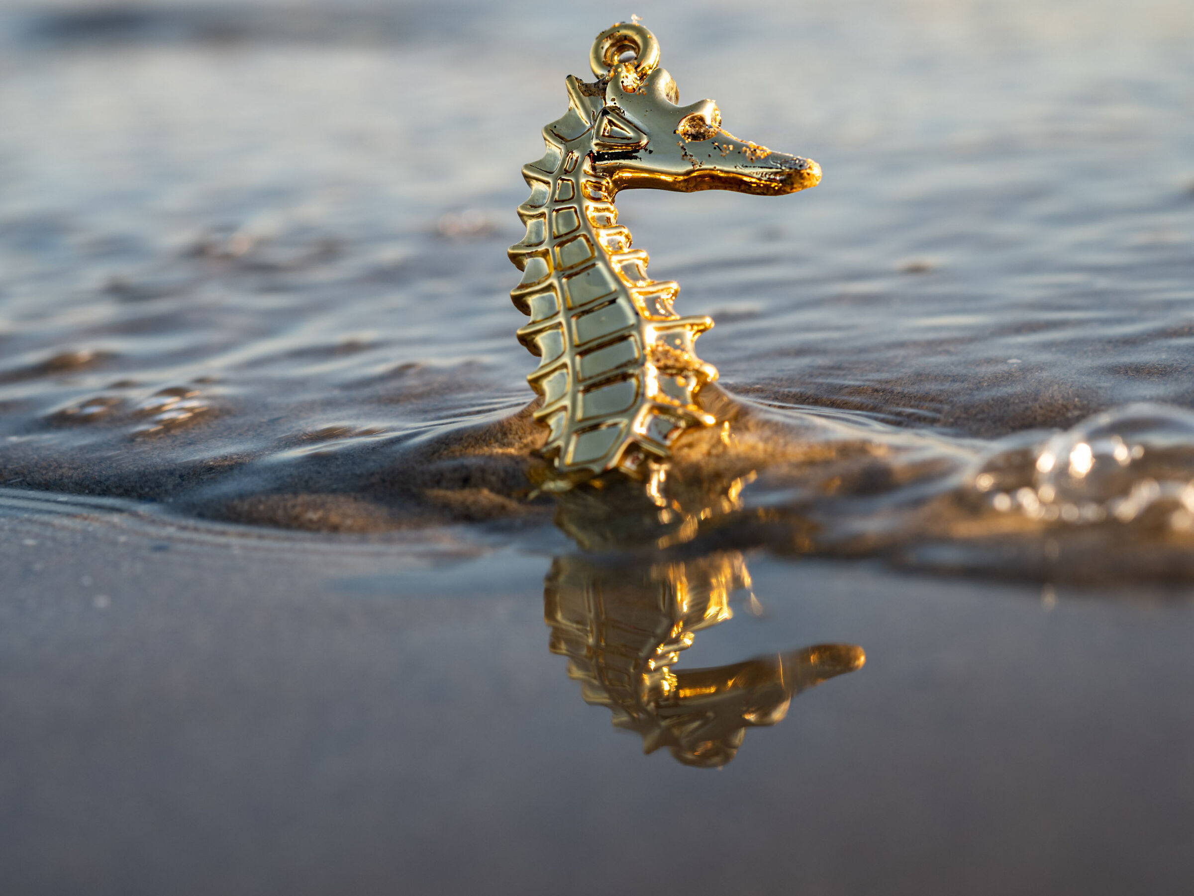 Sperando rinasceremo come la Fenice