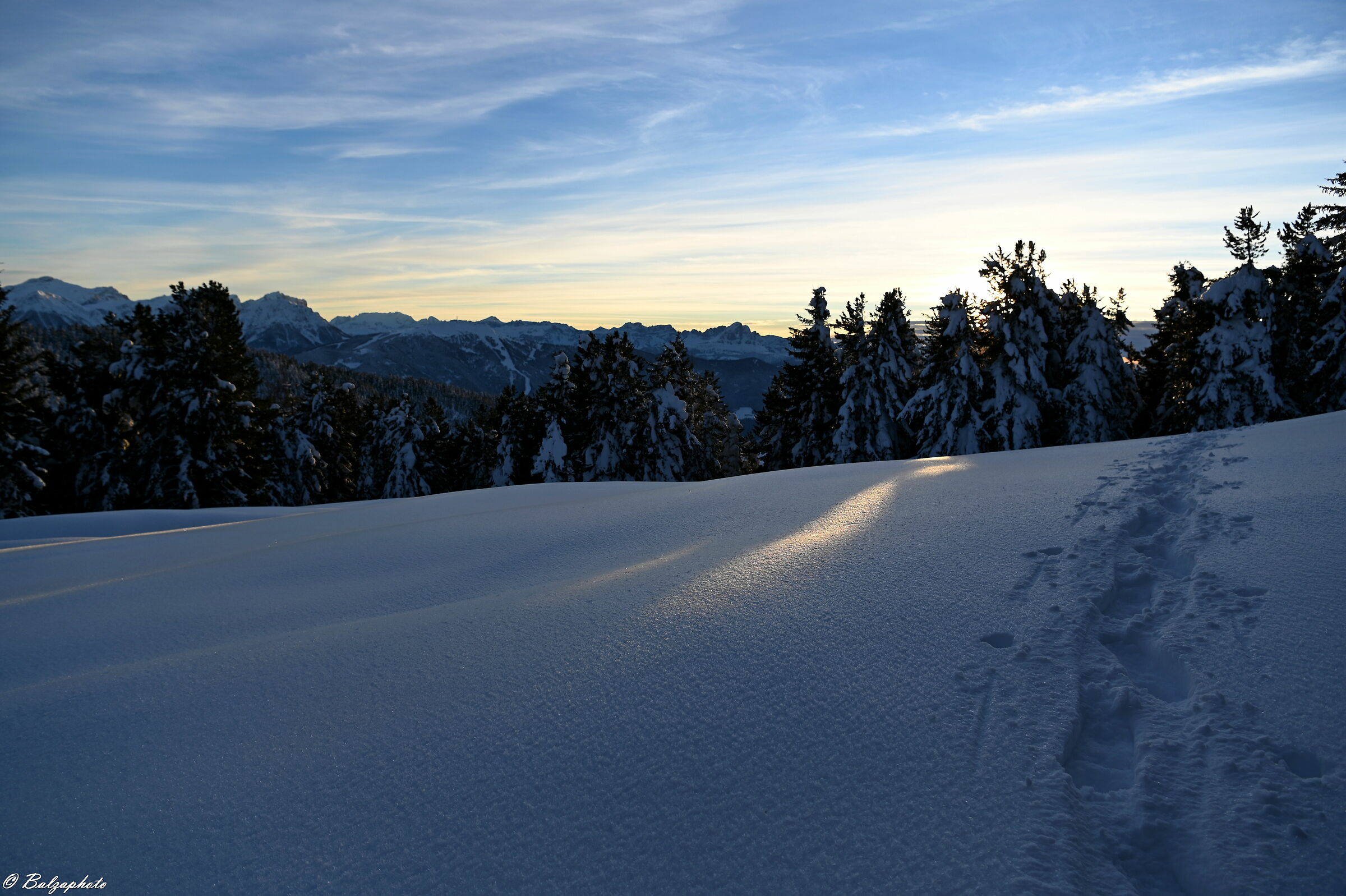 Niente di più bello che la bellezza dei boschi