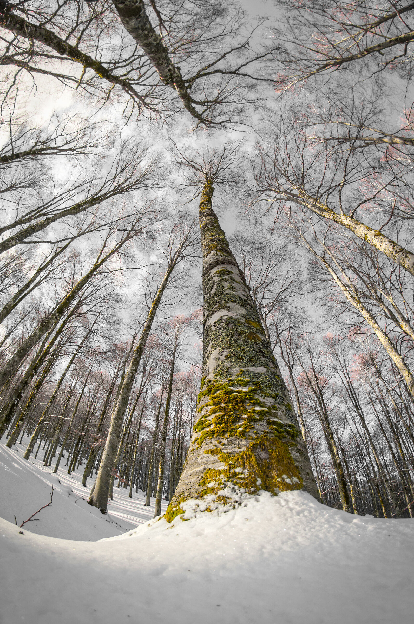 L'inverno sta arrivando