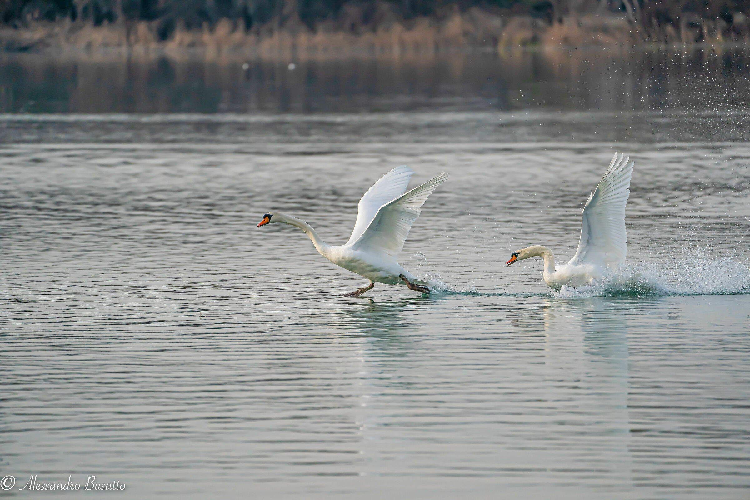 Running in the water
