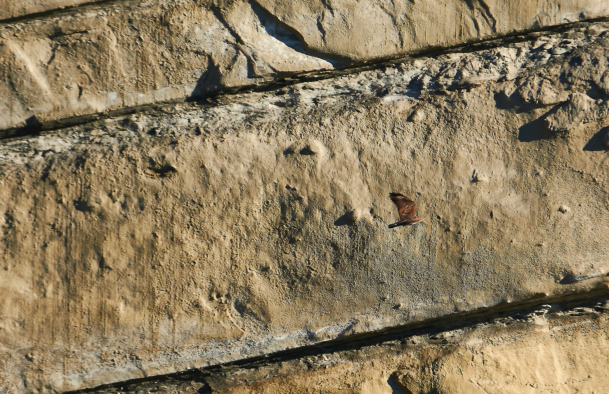 Radente ai Calanchi (poiana)