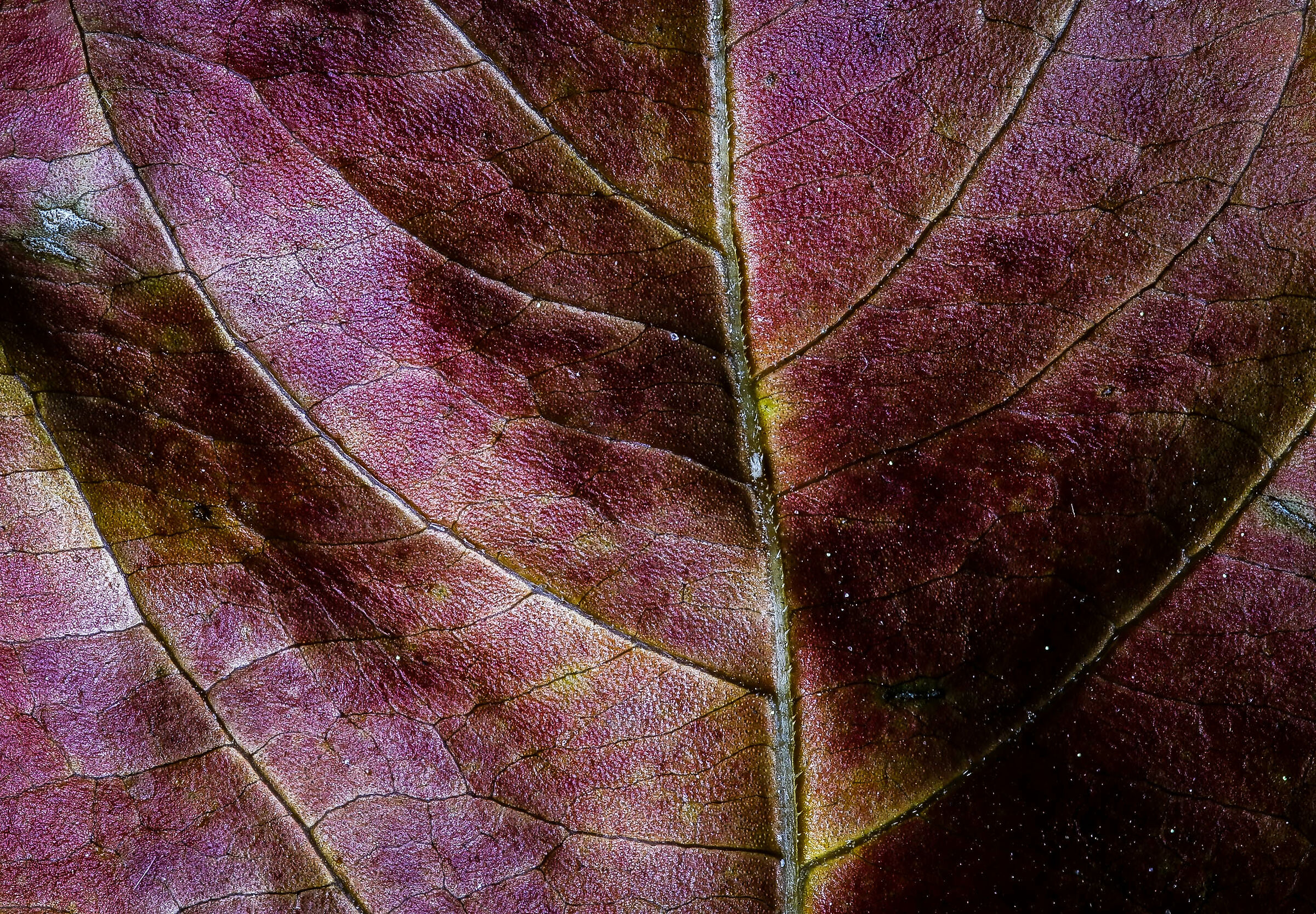 stressed by lockdown 5