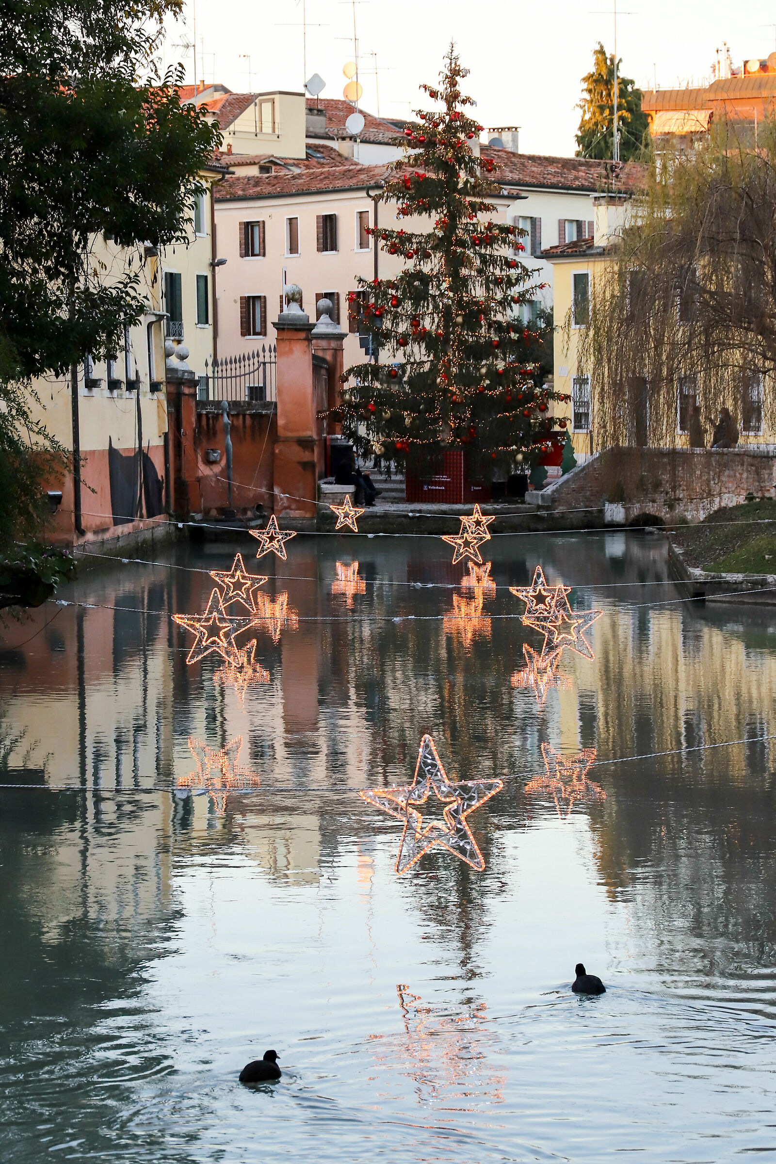 Natale si avvicina e Treviso si addobba