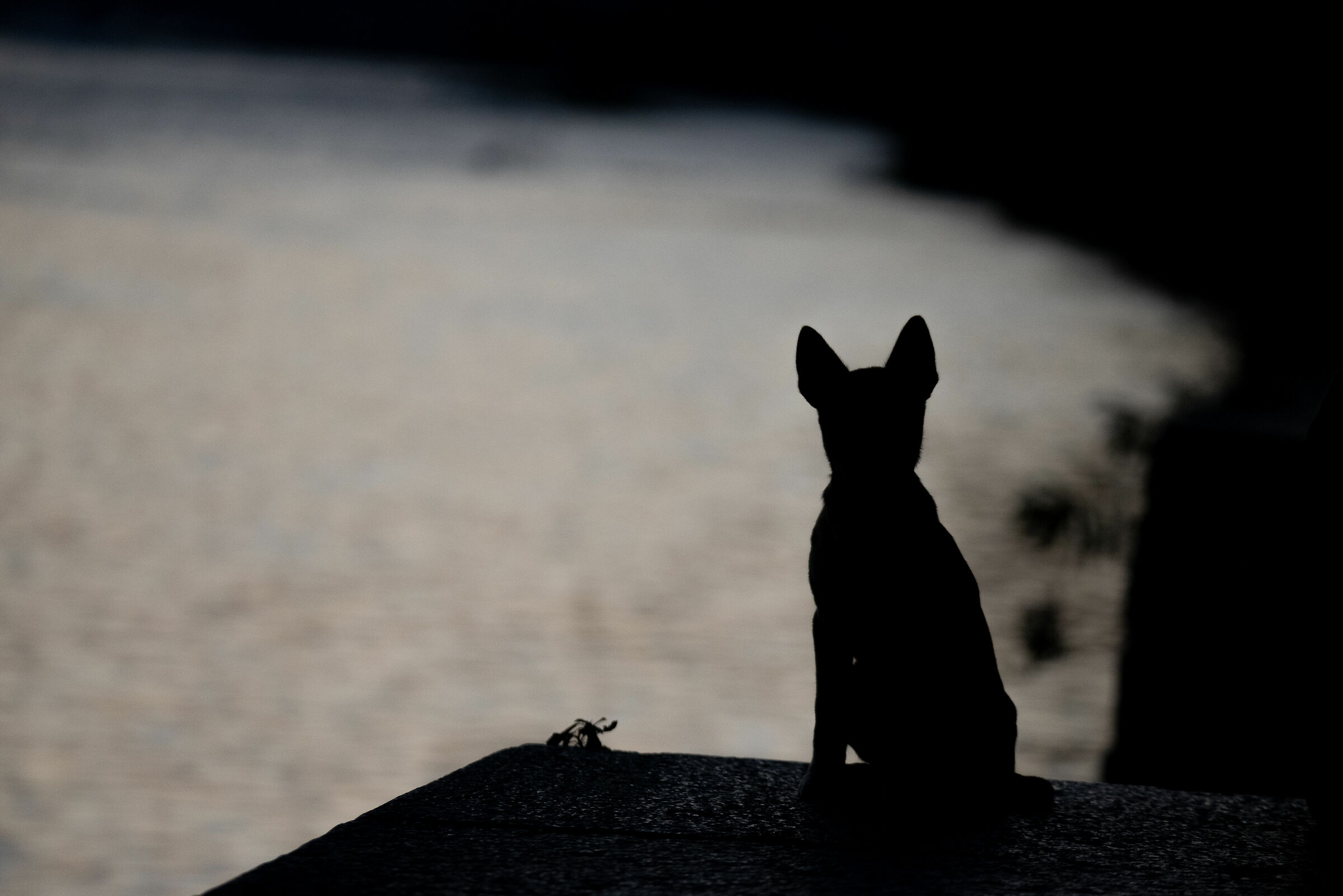 Poco prima del tramonto