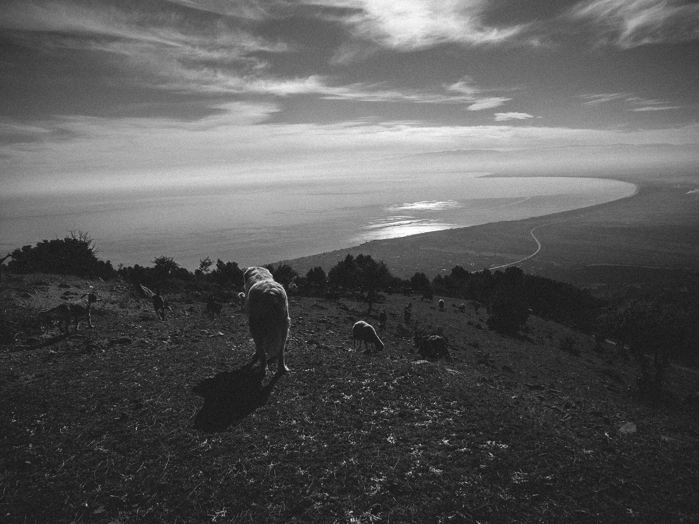 Mount Mostarico "Trebisacce"
