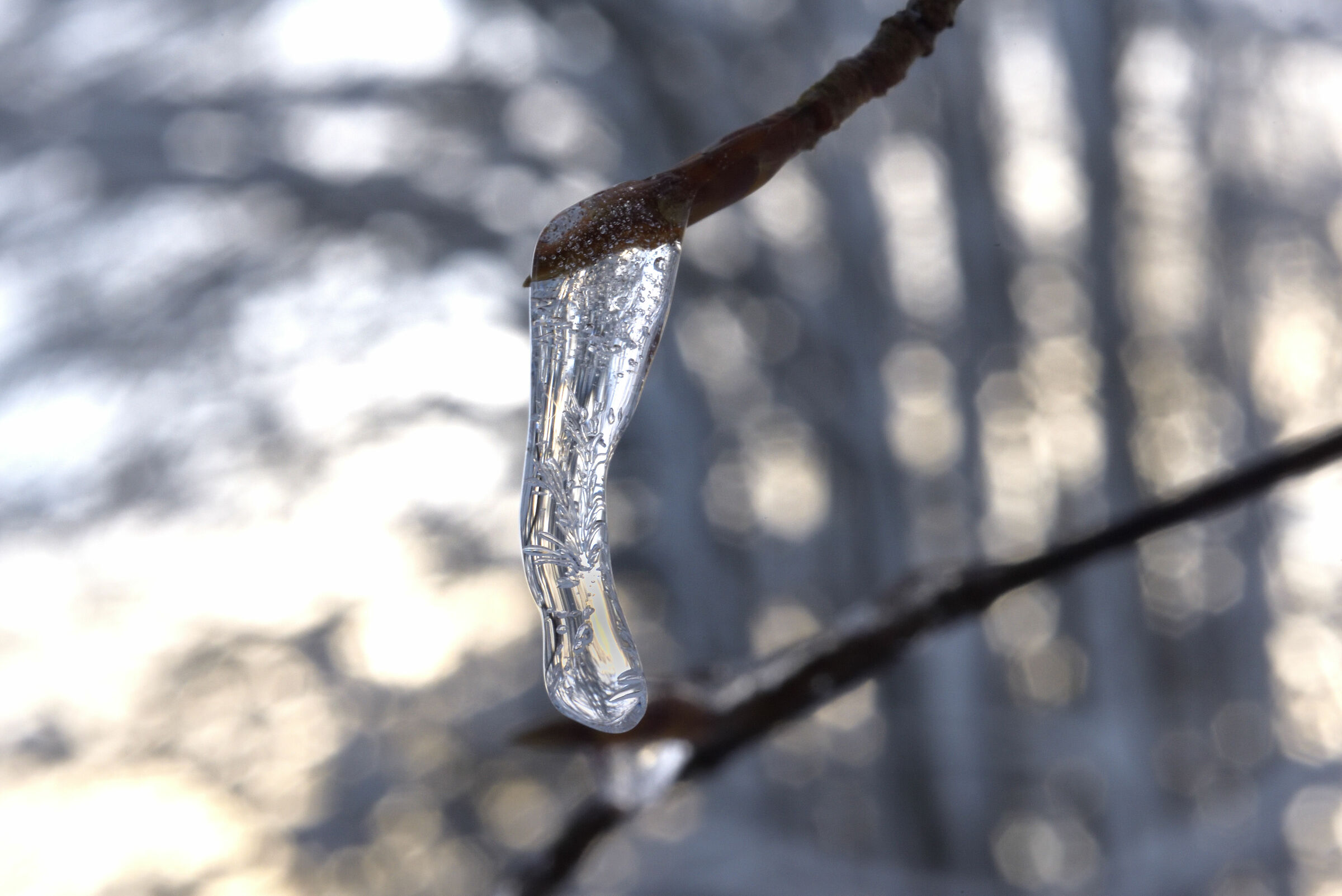 focus taking di un ghiacciolo