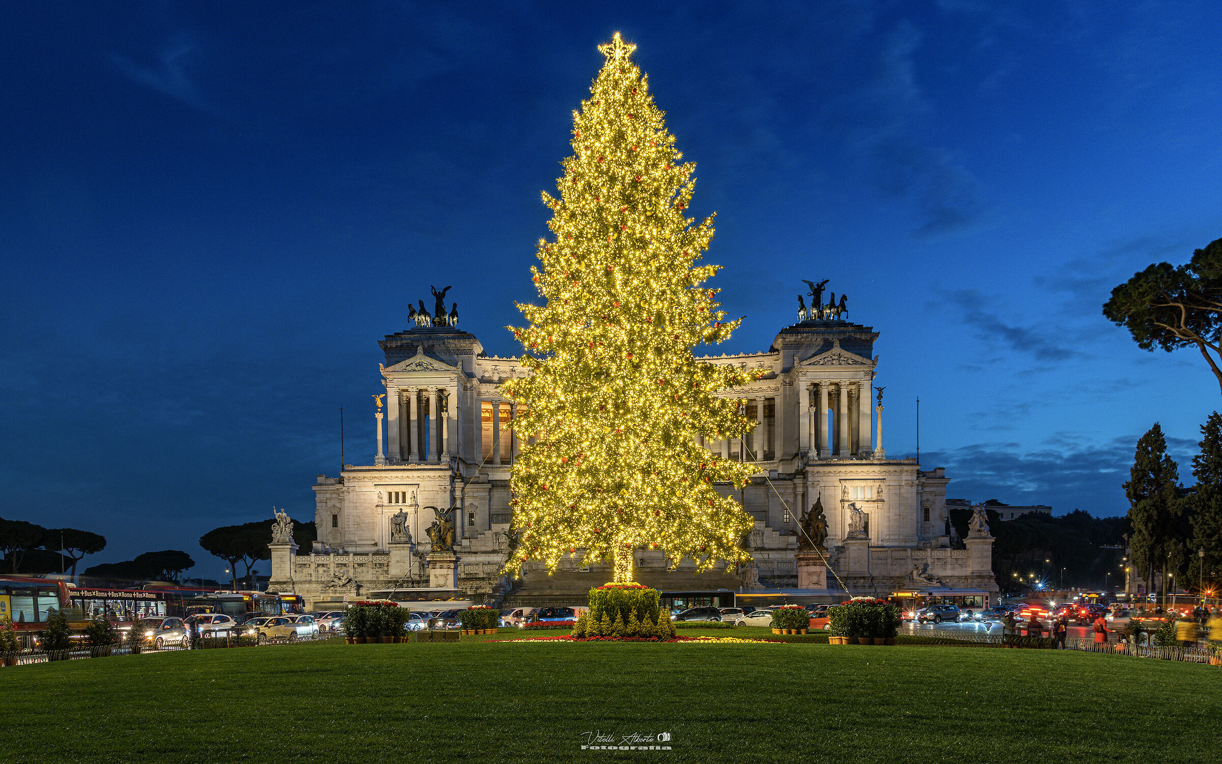 L'Albero di Natale a Roma...