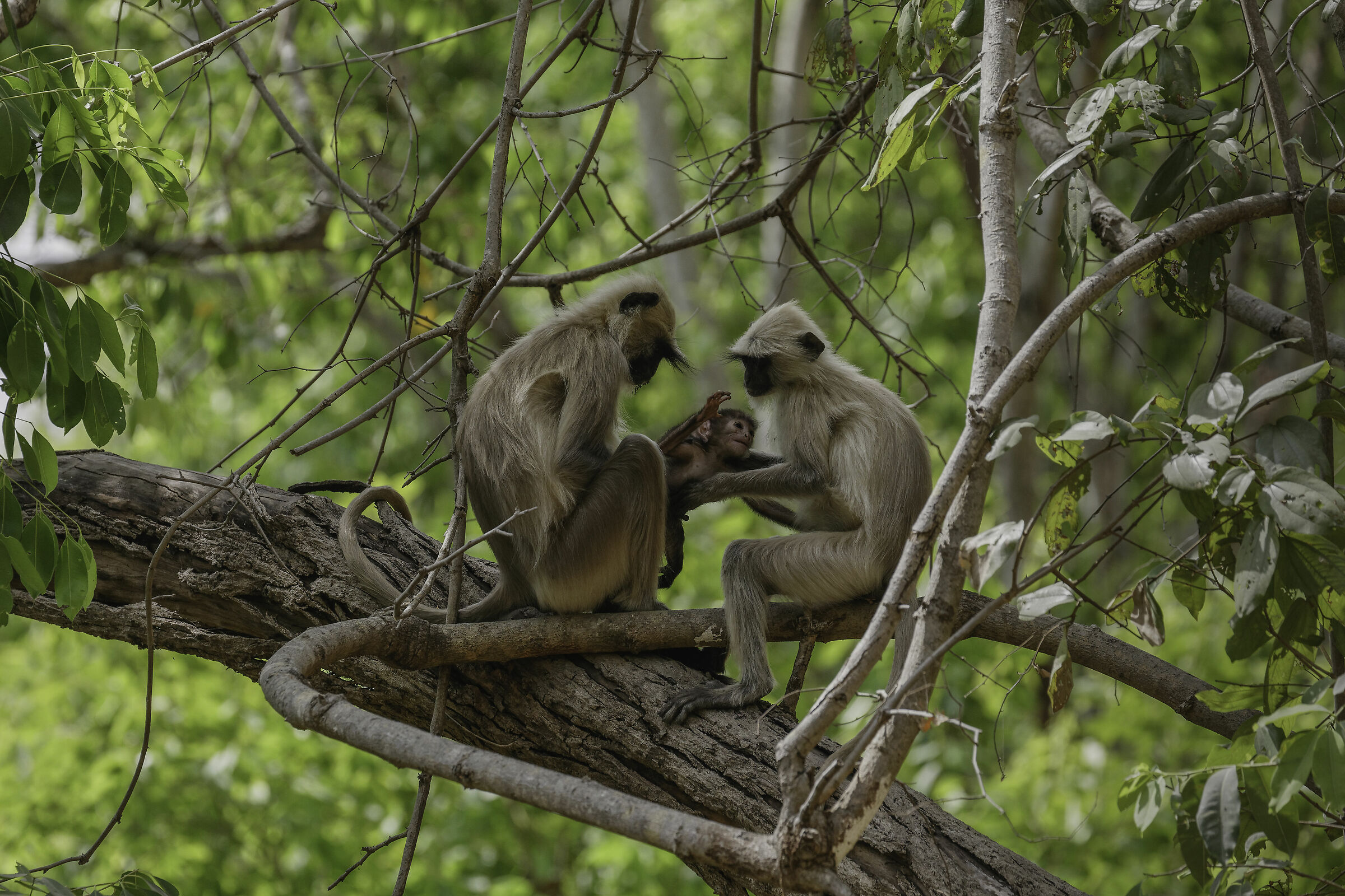 L'amore e la famiglia