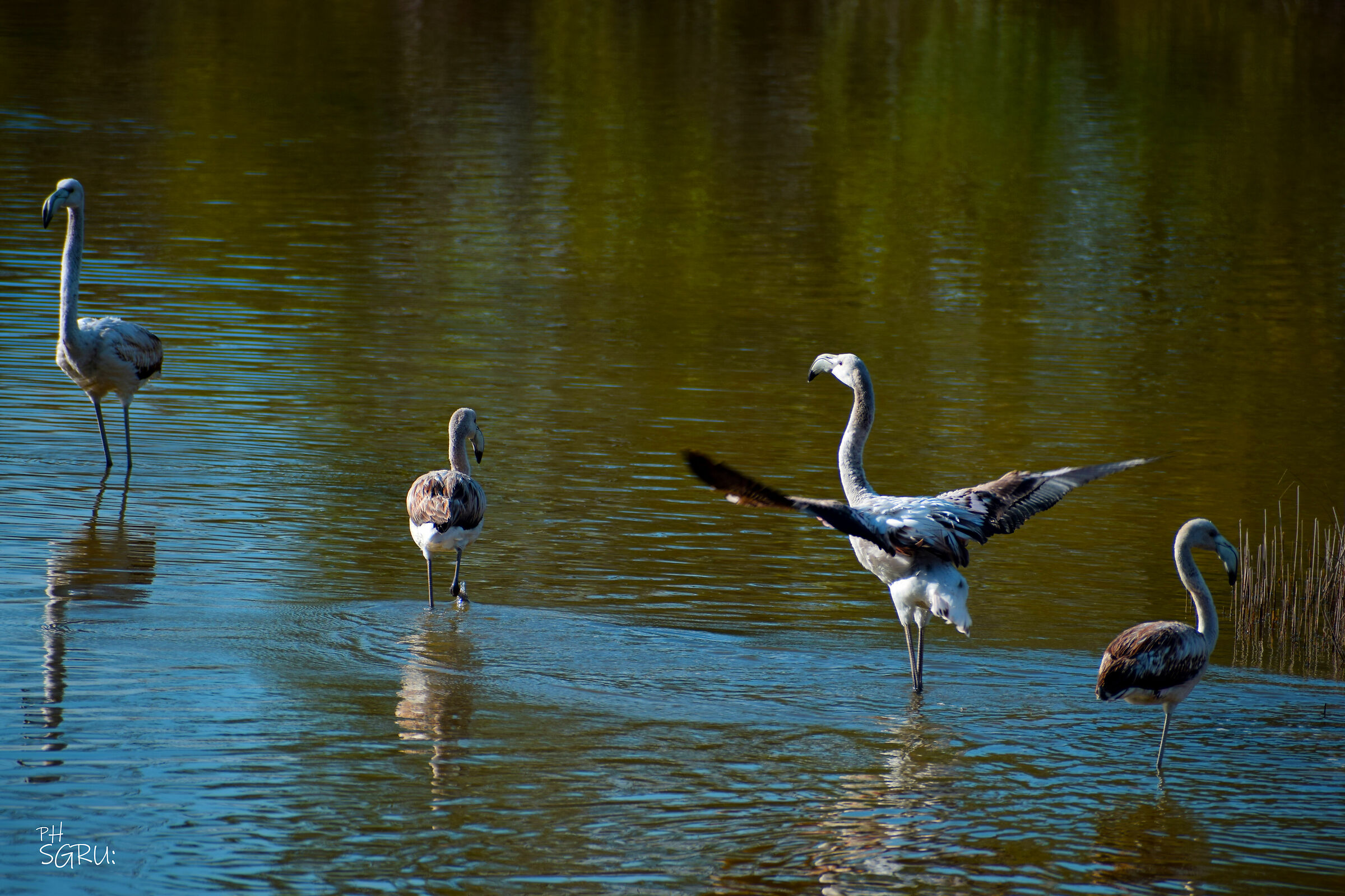 quando nessuno si fida di te