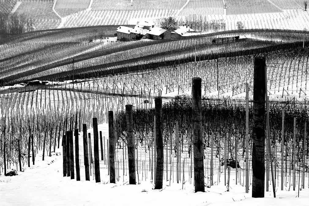 Vigneti di Barolo