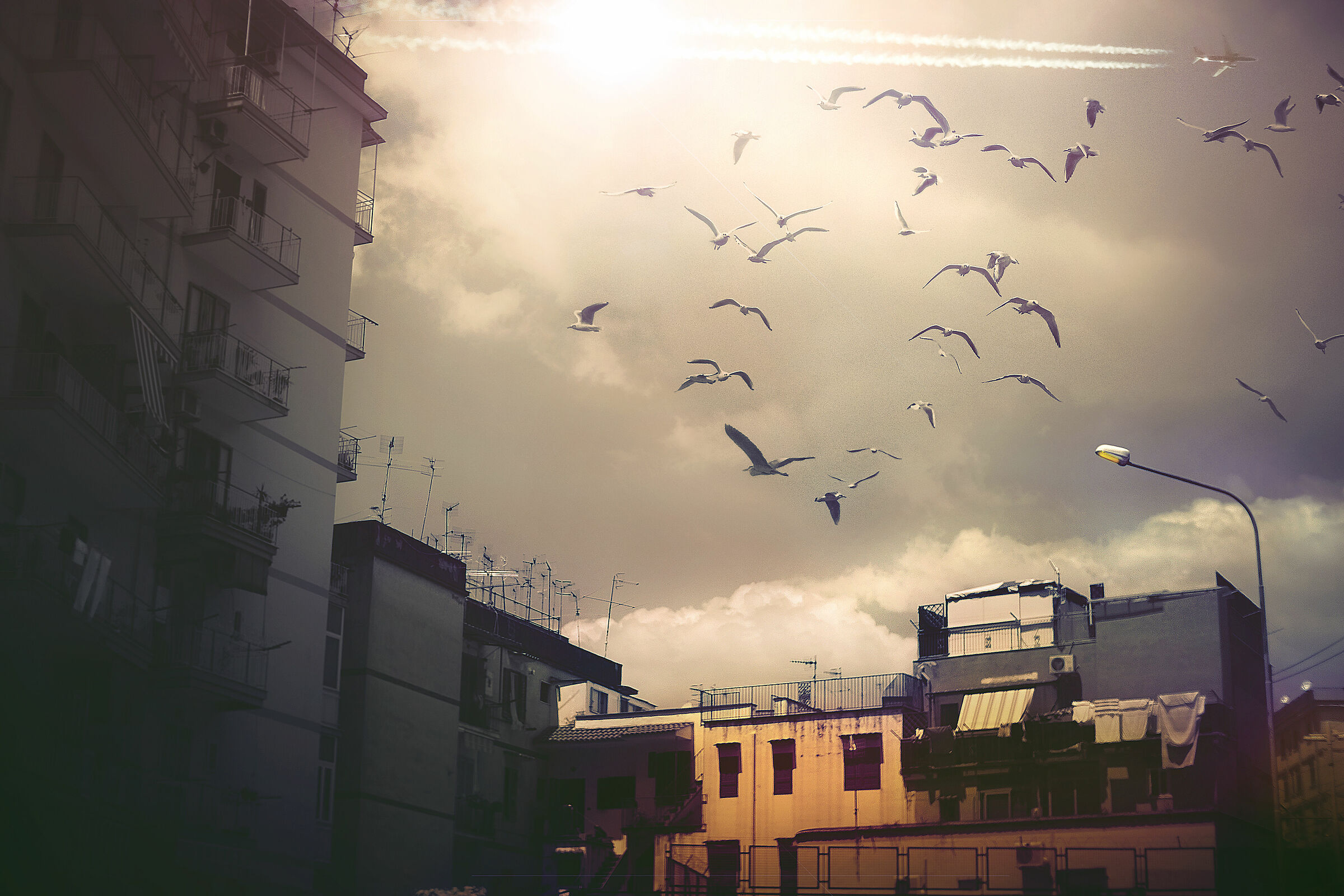 ~~ a magical day in Herculaneum ~~