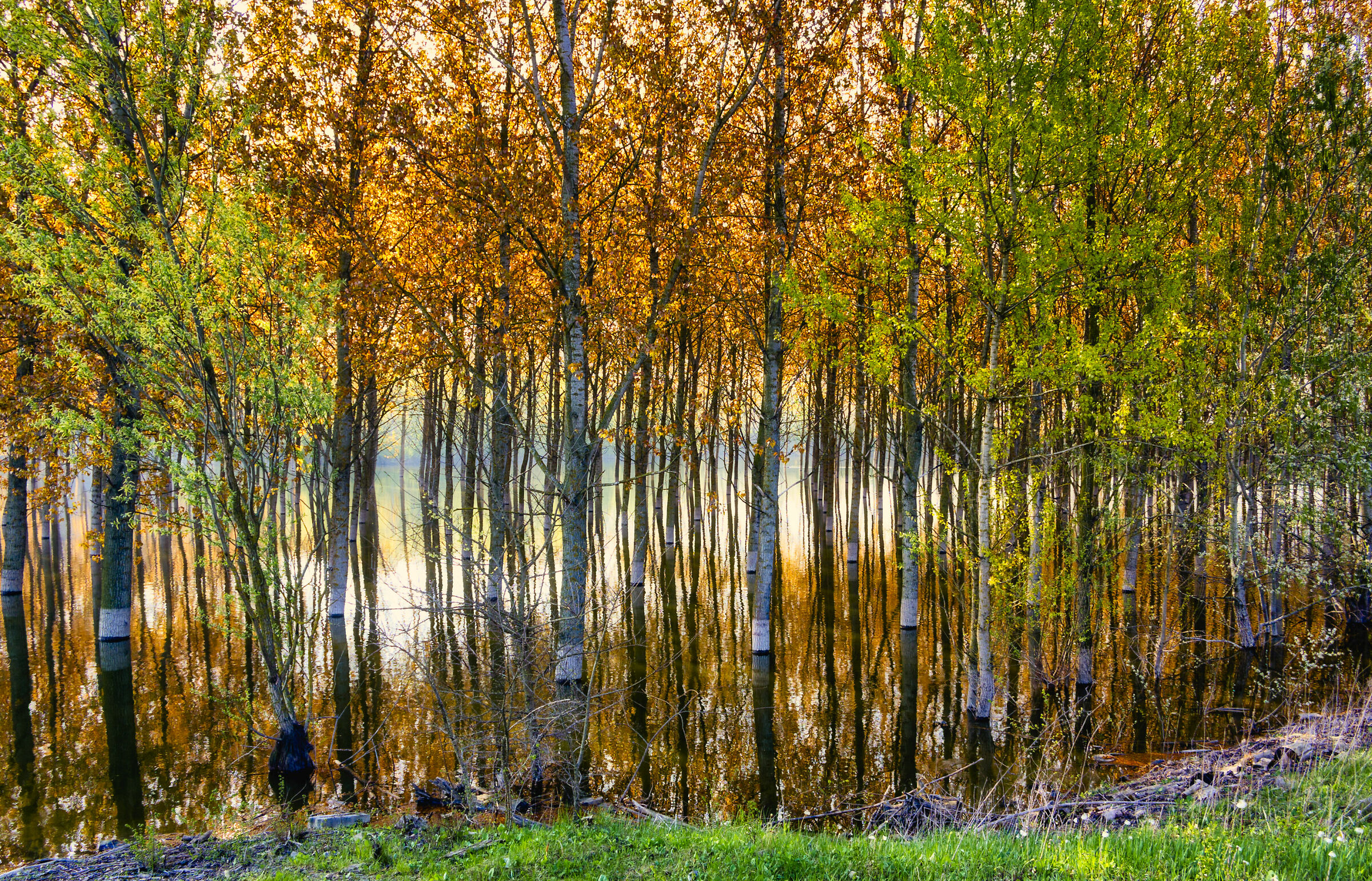 Colors and reflections